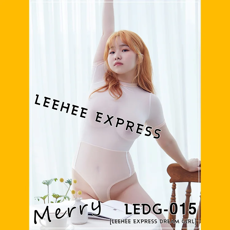Merry [LEEHEE EXPRESS] LEDG-015 Set.01