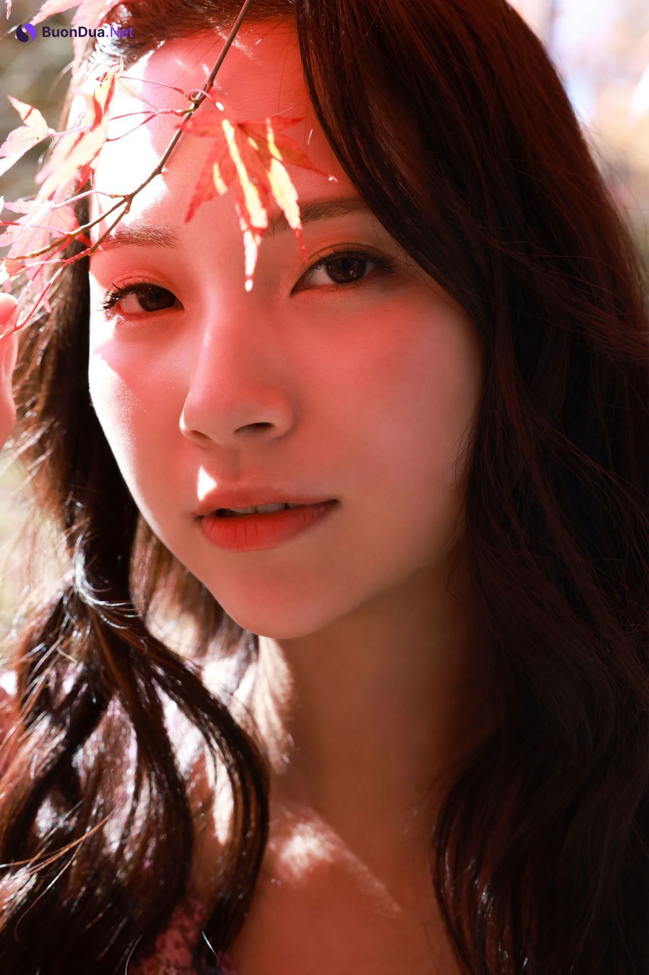 Miho Machiyama 街山みほ, デジタル写真集 「Ｓｃａｒｌｅｔ」 Set.05 - รูปภาพ 2