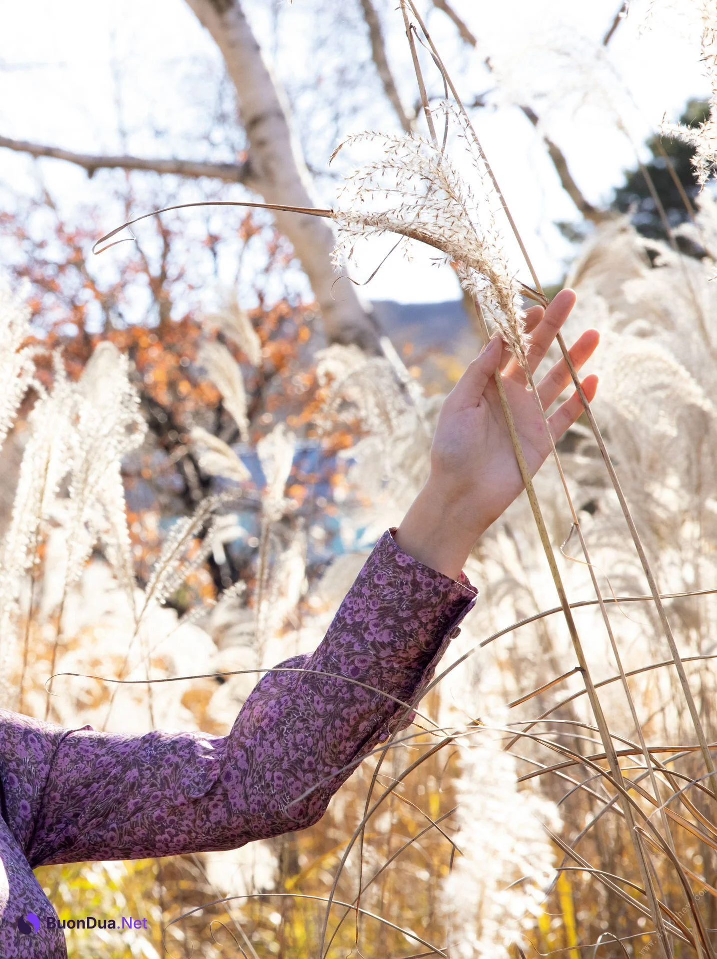 Miho Machiyama 街山みほ, デジタル写真集 「Ｓｃａｒｌｅｔ」 Set.06 - Photo 5