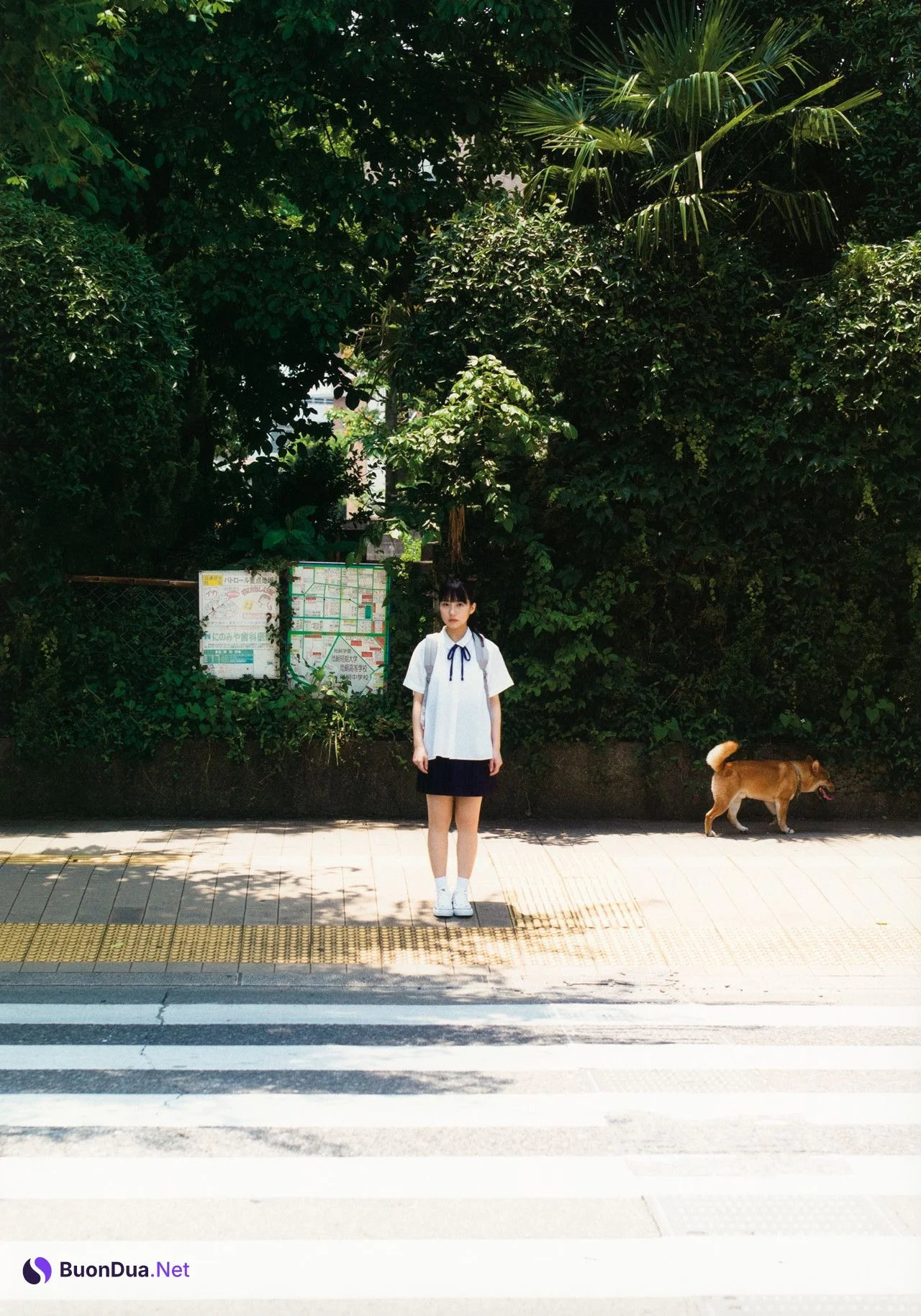 Miku Tanaka 田中美久, 1st写真集 「1/2少女」 Set.01 - รูปภาพ 3