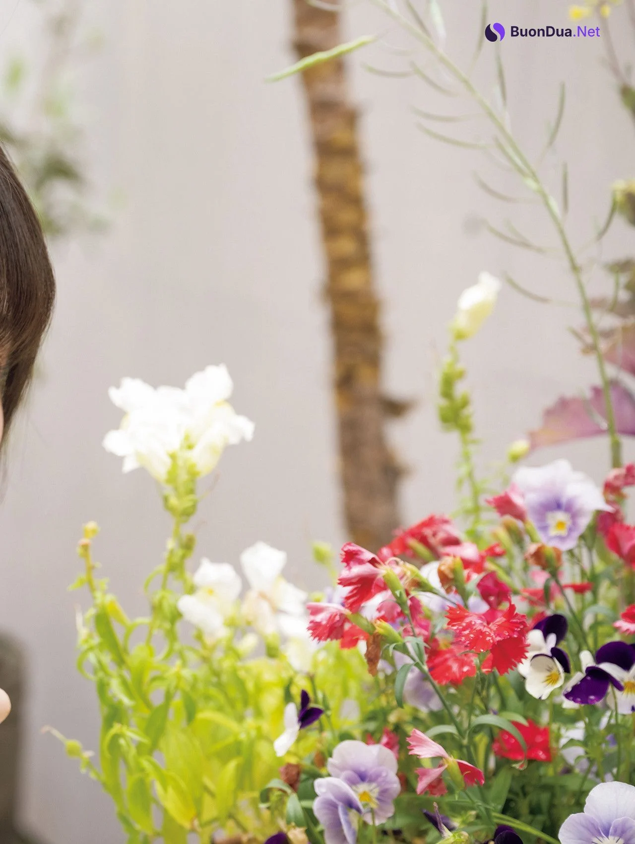 Mio Ishikawa 石川澪, アサ芸SEXY女優写真集 「欲情のサマーヌード～夏の日の2023～」 Set.01 - Photo 3