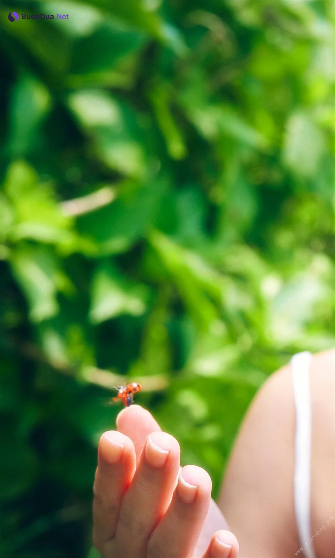 Mio Kudo 工藤美桜, 週プレ Photo Book 「夏の扉」 Set.02 - Photo 3