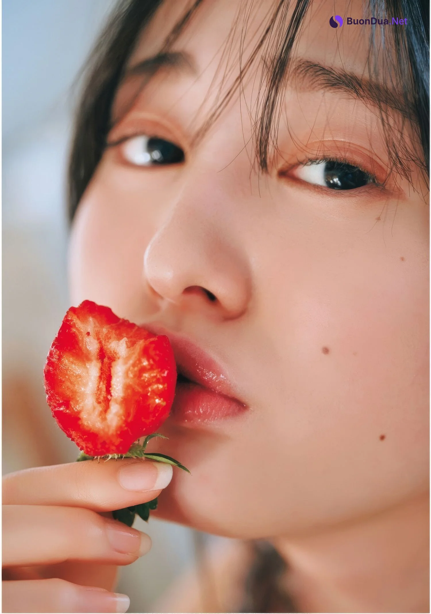 Miu Shirahama 白濱美兎, ドラゴンエイジ2025年5月号増刊 ヤングドラゴンエイジ VOL.28 - Photo 12