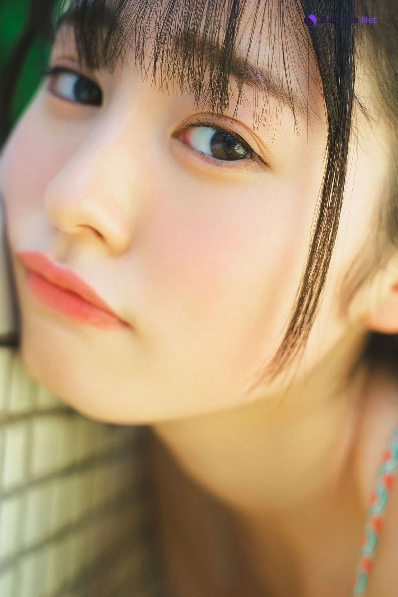 Miu Shirahama 白濱美兎, ヤングチャンピオンデジグラ 「鳥取が生んだ超逸材！」 Set.02 - Photo 19