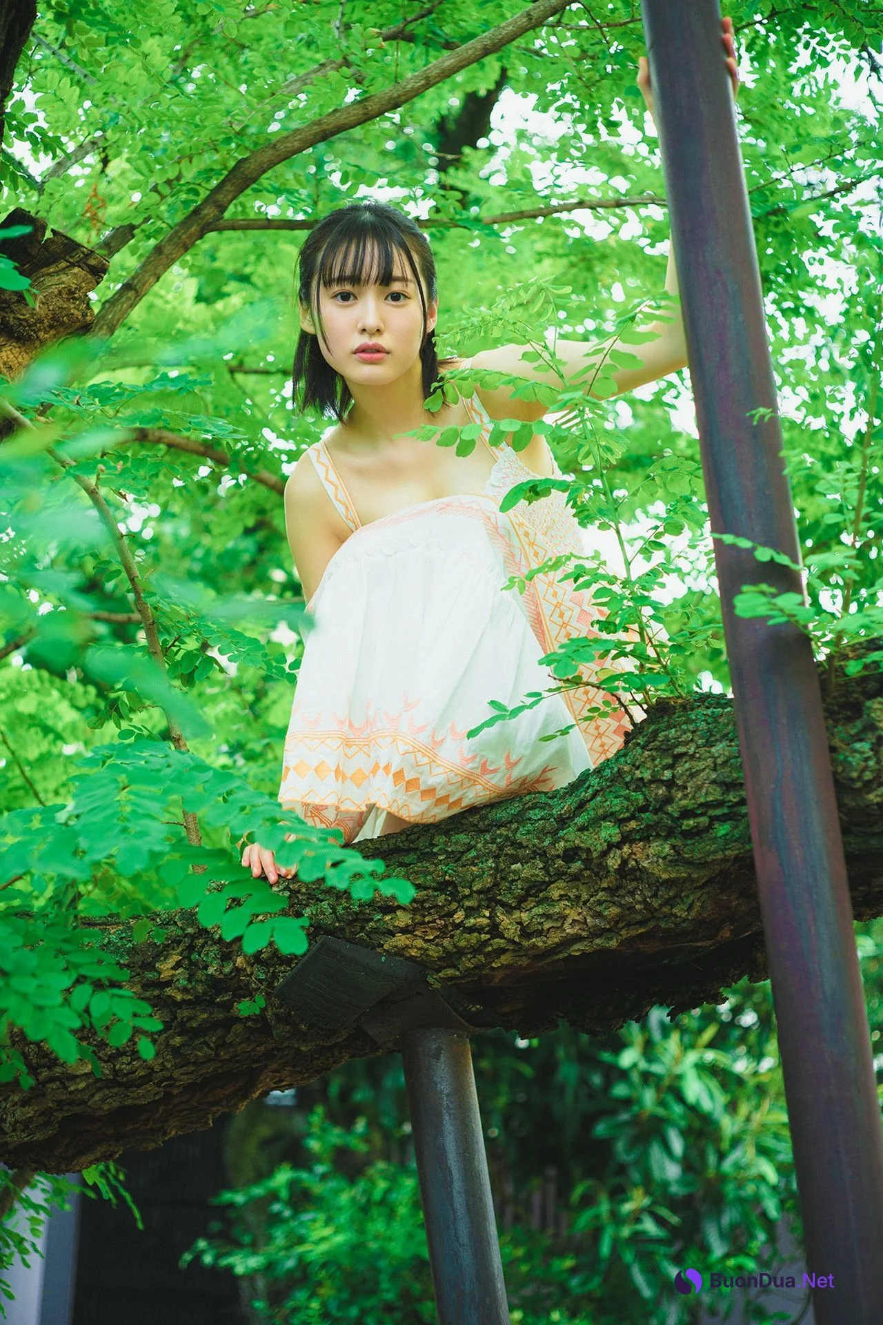 Miu Shirahama 白濱美兎, ヤングチャンピオンデジグラ 「鳥取が生んだ超逸材！」 Set.02 - Photo 8