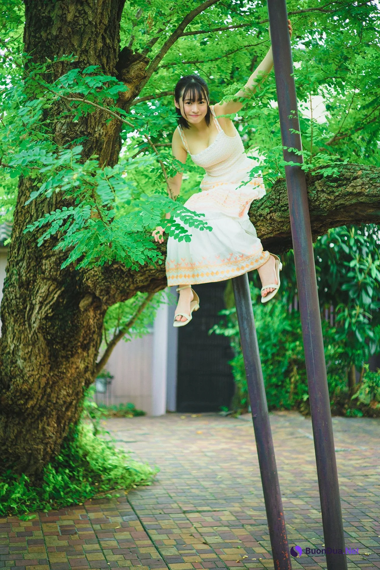 Miu Shirahama 白濱美兎, ヤングチャンピオンデジグラ 「鳥取が生んだ超逸材！」 Set.02 - Photo 9
