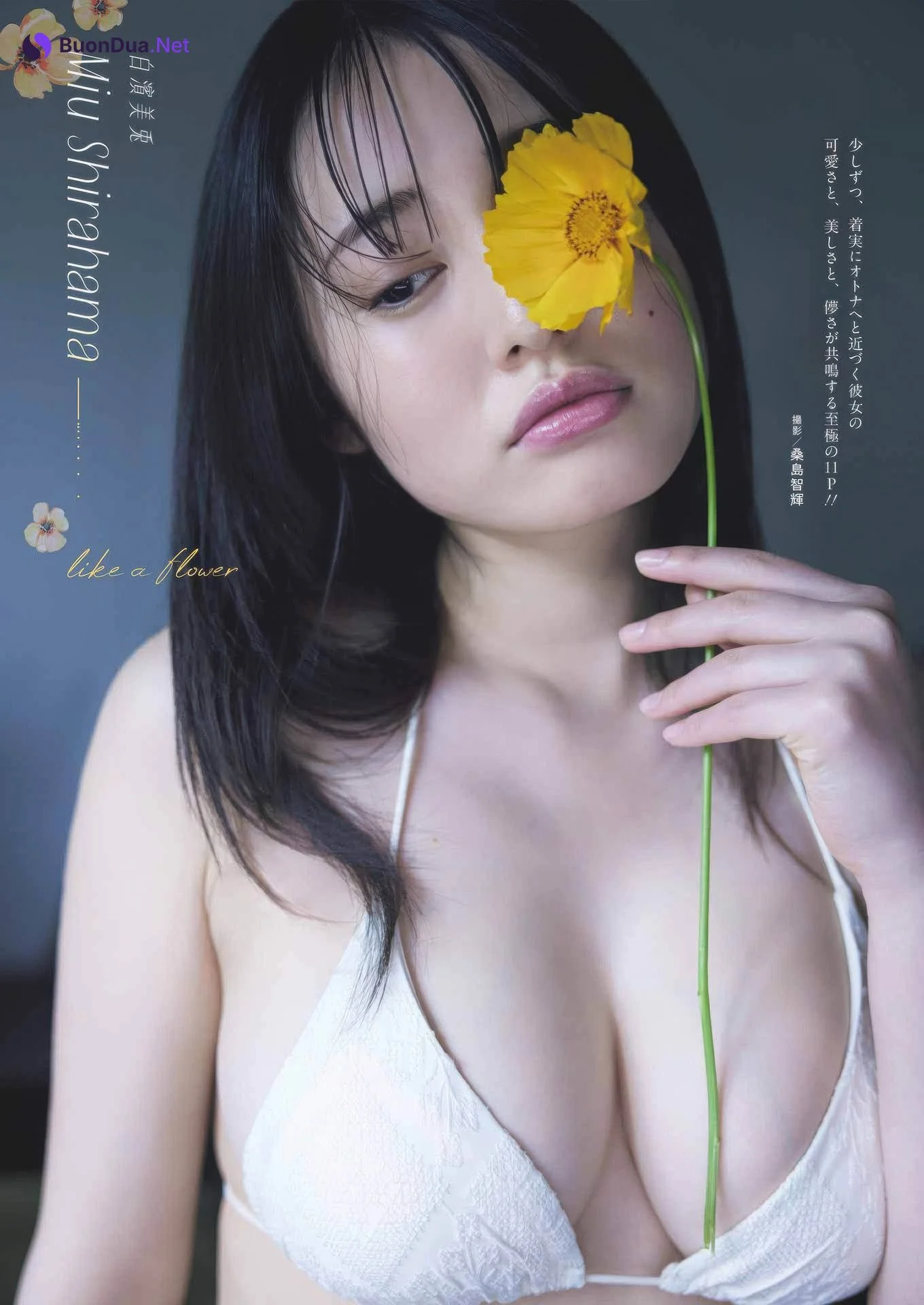 Miu Shirahama 白濱美兎, Young Gangan 2025 No.16 (ヤングガンガン 2025年16号) - Photo 2