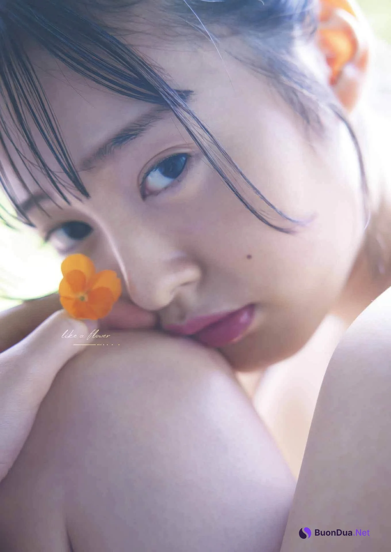 Miu Shirahama 白濱美兎, Young Gangan 2025 No.16 (ヤングガンガン 2025年16号) - Photo 5