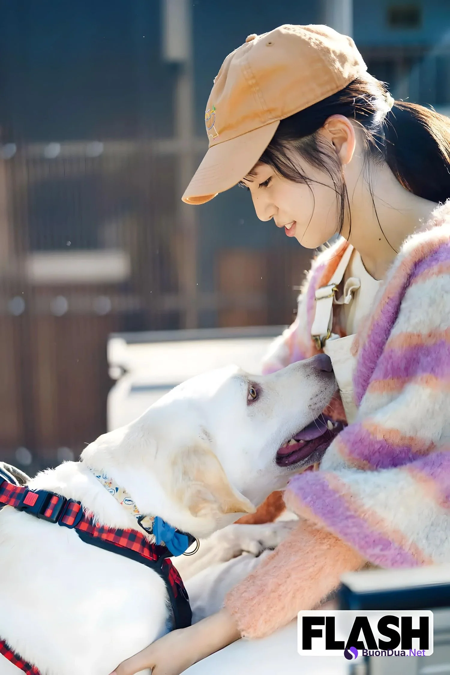 Miu Shitao 下尾みう, FLASH 2024.02.06 (フラッシュ 2024年2月6日号) - Photo 8