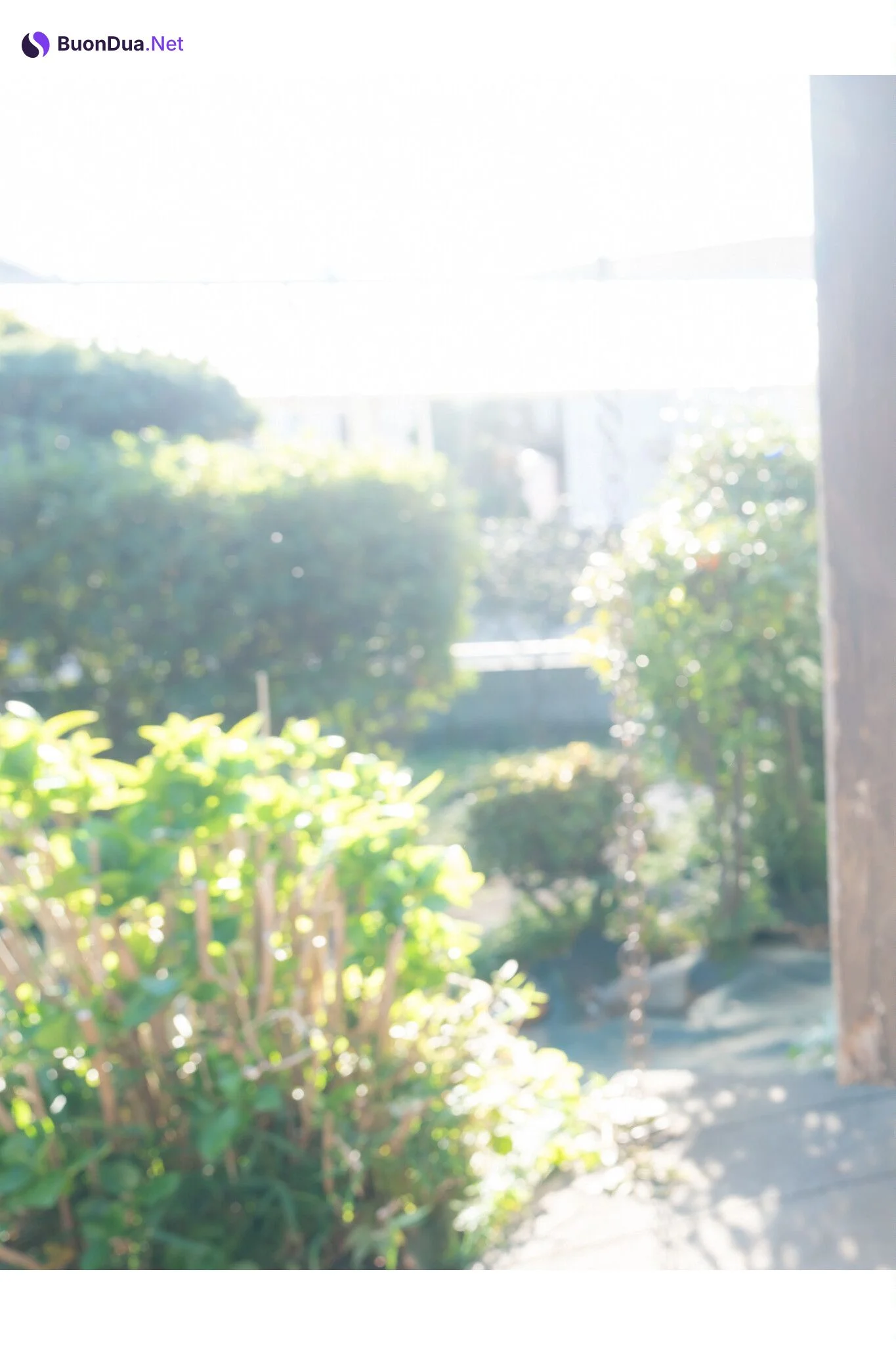 Miyabi Nagano 長野雅, デジタル写真集 グラビアプレス 「帰省」 Set.03 - Photo 9