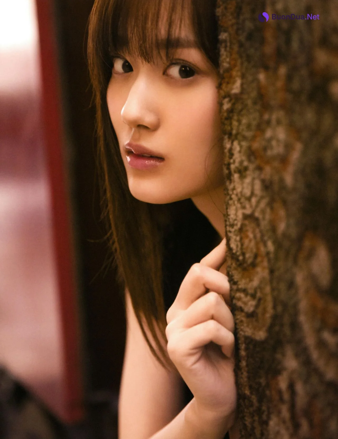 Mizuki Yamashita 山下美月, 1st写真集 「忘れられない人」 Set.03 - Photo 5