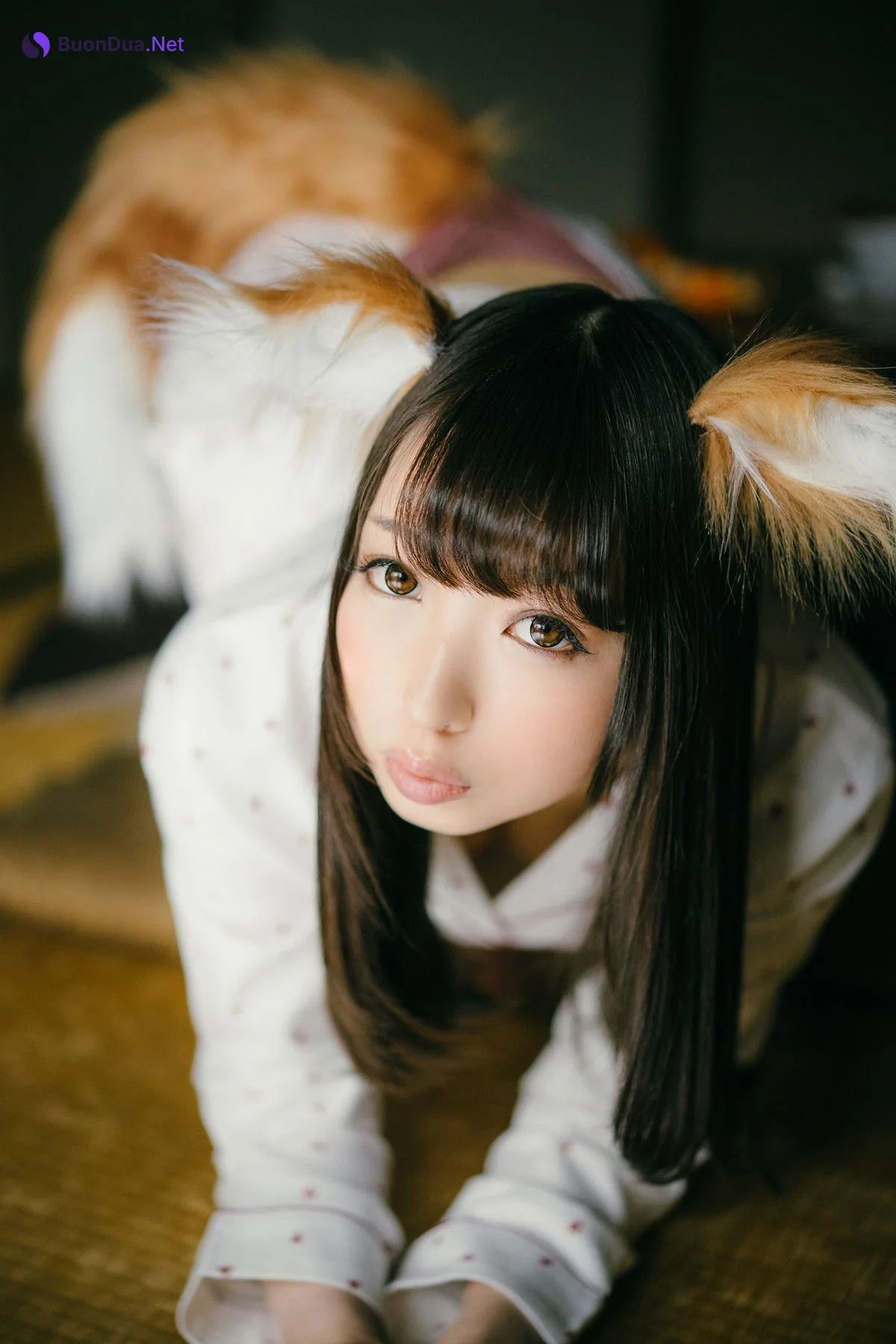 Moka Fukuda 福田もか, 写真集 ぼくのもとにとつぜん、どんぎつねが舞い降りた。 Set.01 - Photo 6