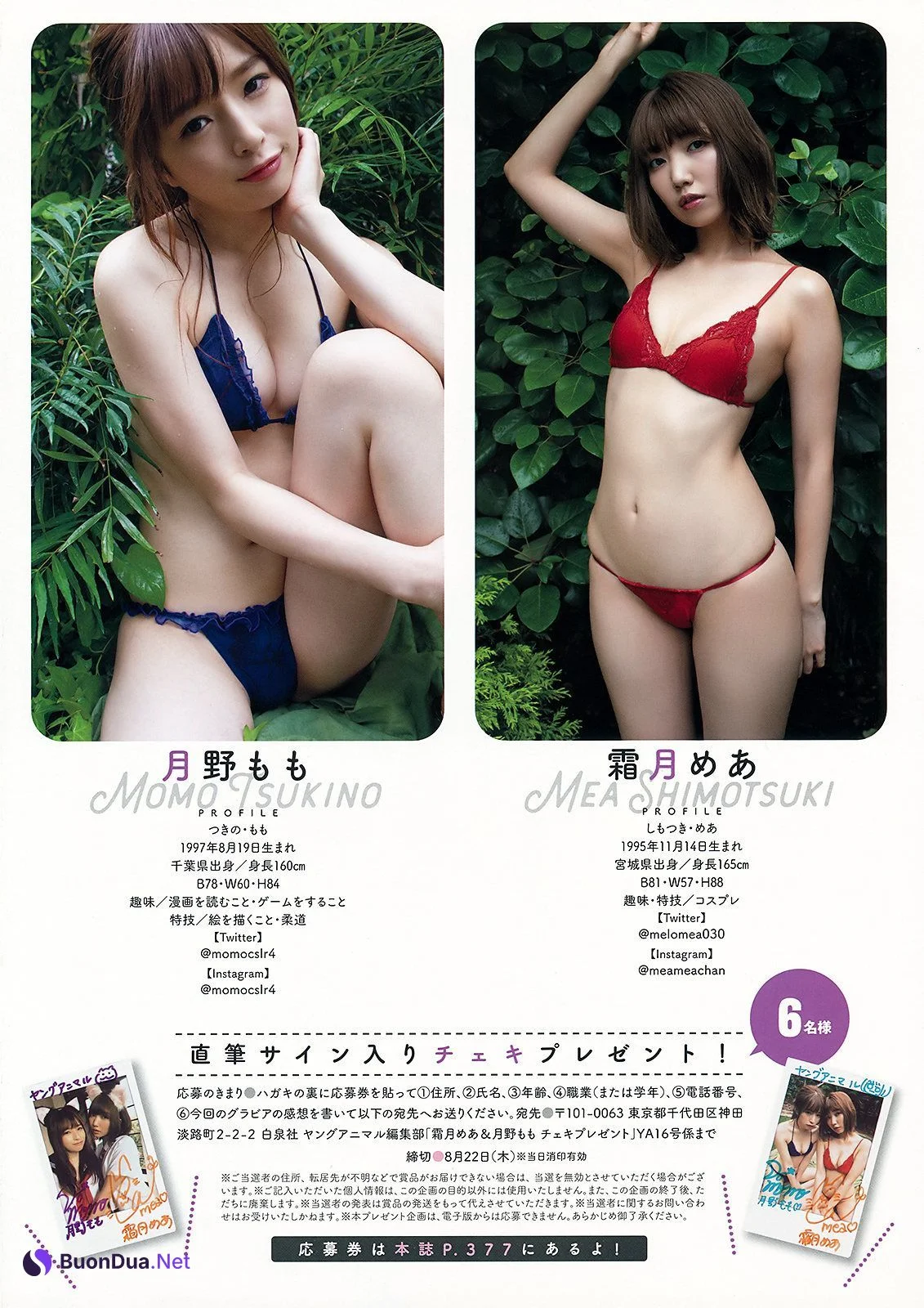 Momo Tsukino 月野もも, Mea Shimotsuki 霜月めあ, Young Animal 2019 No.16 (ヤングアニマル 2019年16号) - 照片 13