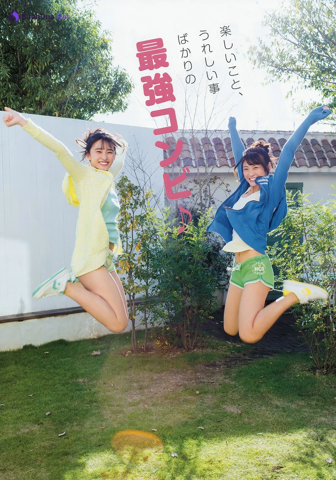 Nako Yabuki 矢吹奈子, Young Animal 2018 No.02 (ヤングアニマル 2018年2号) - รูปภาพ 13