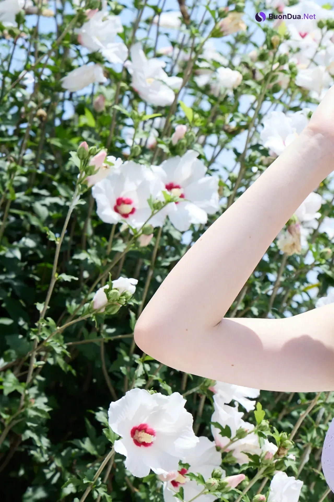 Nana Cecile 菜那セシル, 週刊現代デジタル写真集 「海辺の宝石」 - Photo 2