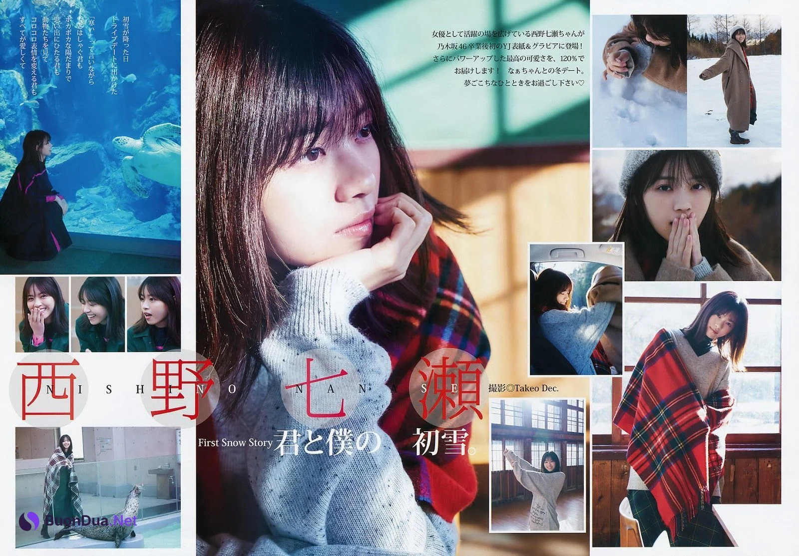 Nanase Nishino 西野七瀬, Young Jump 2020 No.03 (ヤングジャンプ 2020年03号) - Photo 3