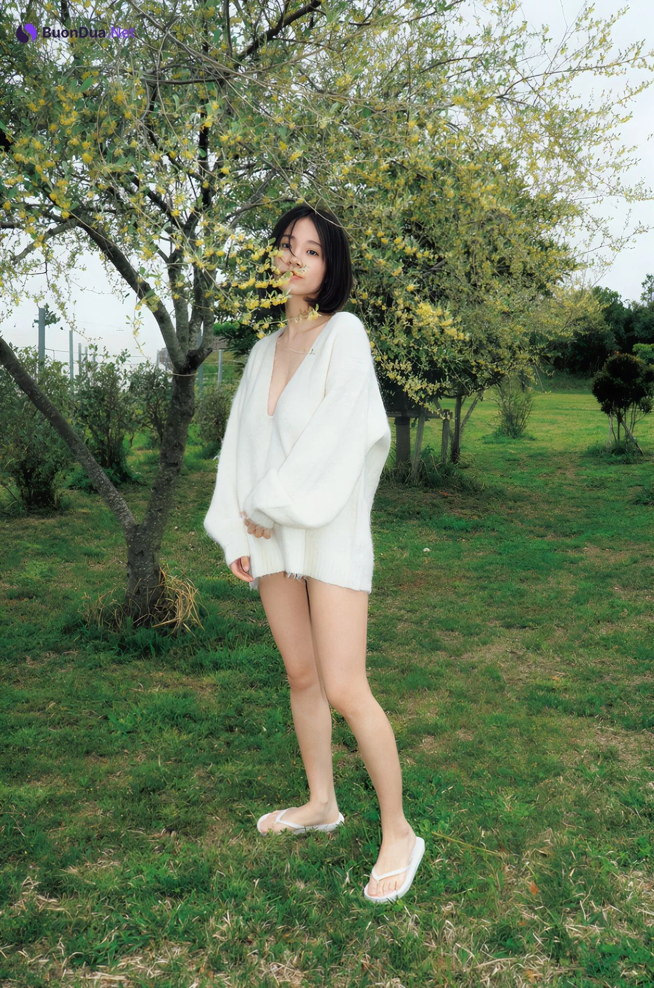 Nanoka 菜乃花, LAST写真集 [しずく] Set.03 - Photo 3