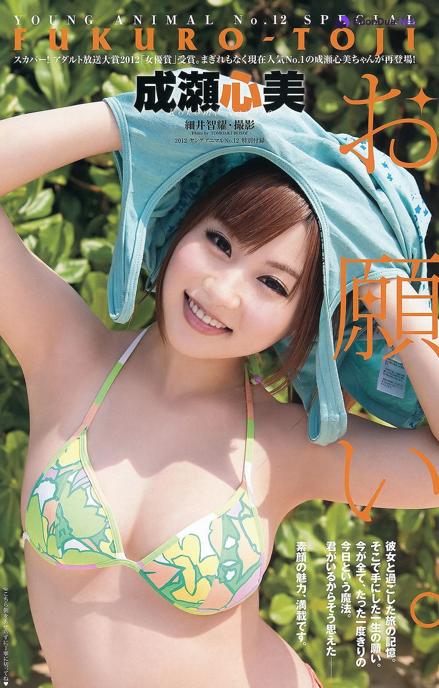 Naruse Kokomi 成瀬心美, Young Animal 2012 No.12 (ヤングアニマル 2012年12号) - Photo 18