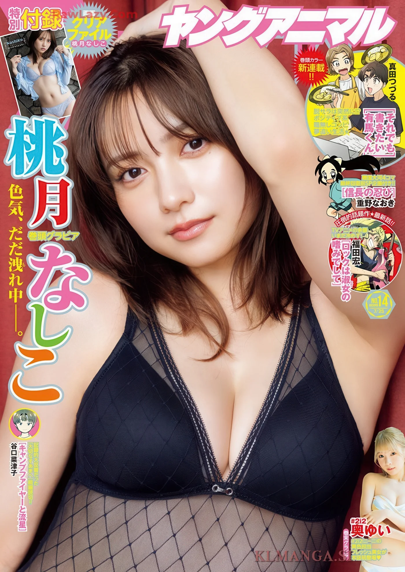 Nashiko Momotsuki 桃月なしこ, Young Animal 2025 No.14 (ヤングアニマル 2025年14号)