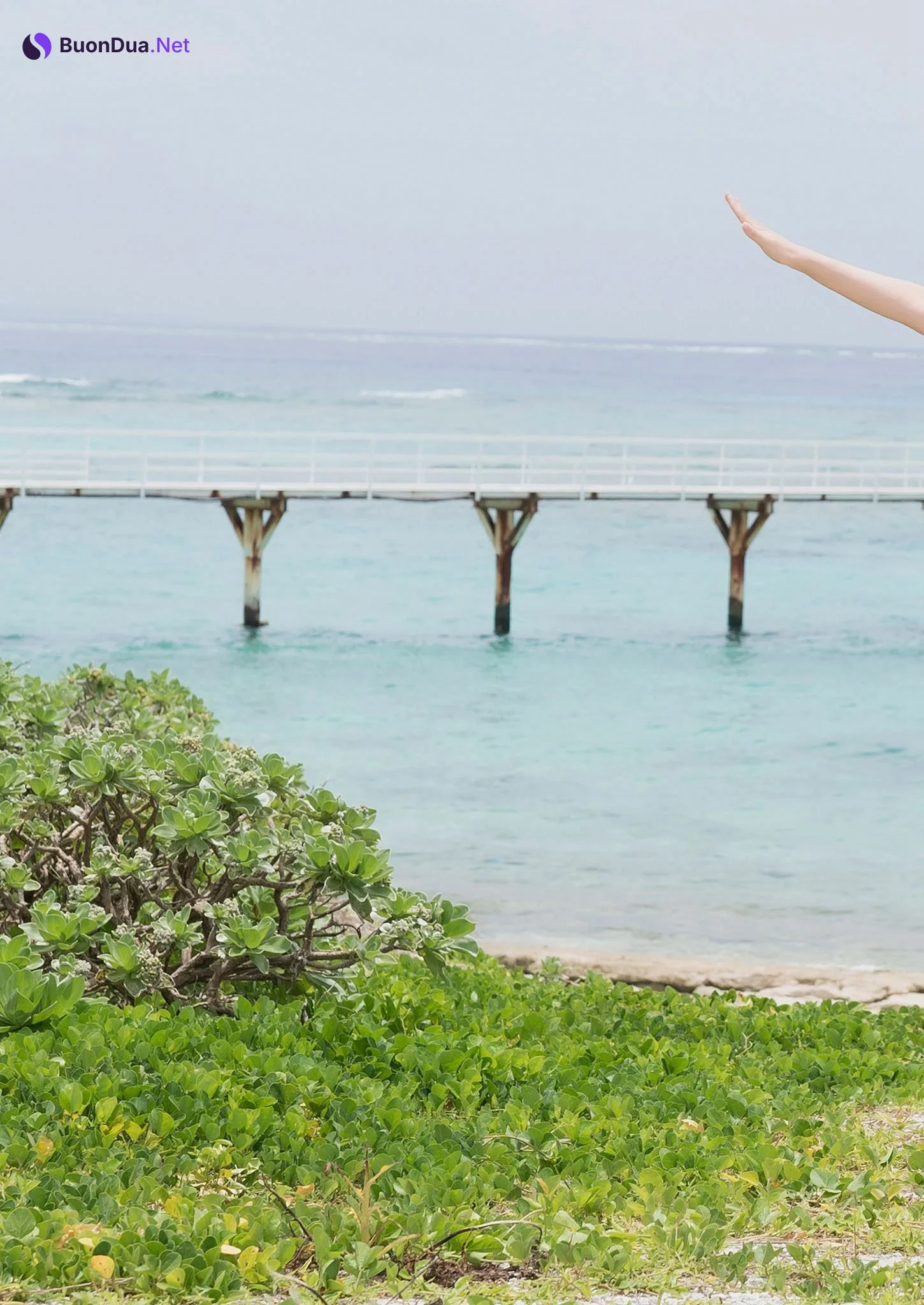 Nene Shida 志田音々, デジタル限定 写真集 『 Best selection 』 Set.01 - Photo 4