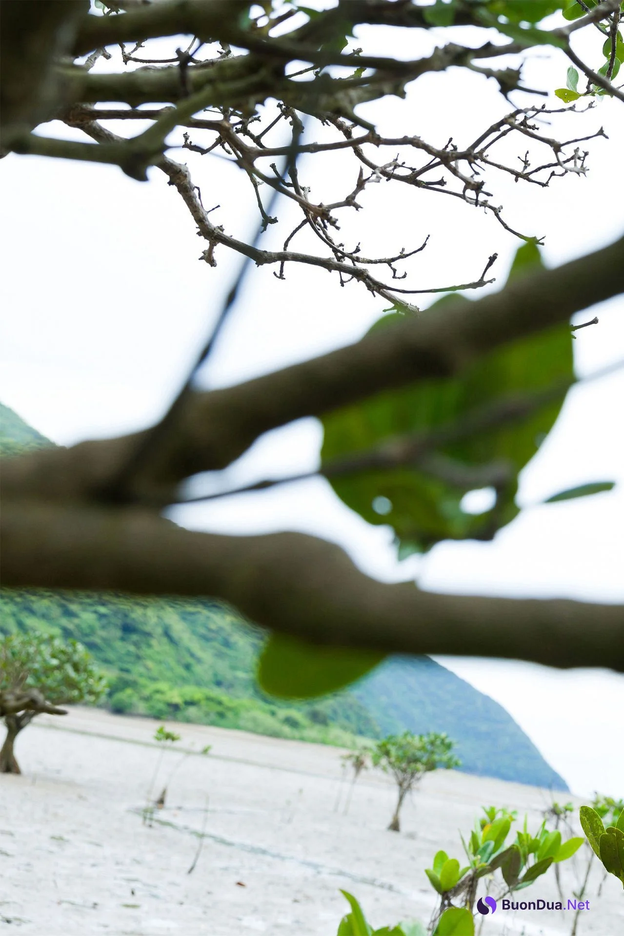 Nene Shida 志田音々, ファースト写真集アナザーバージョン 『ｎｅｎｅ－まるっとりっぷ－』 Set.05 - Photo 6