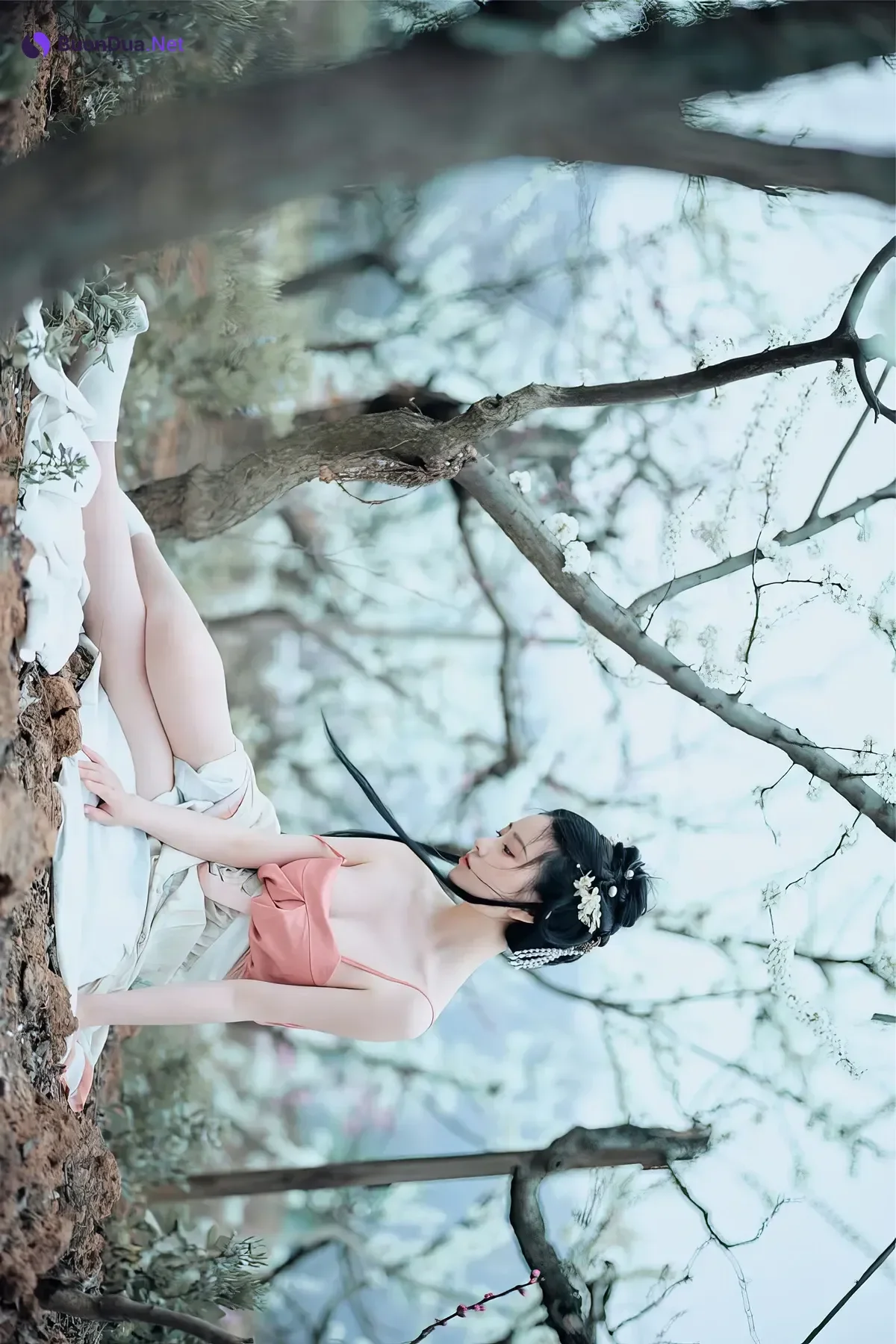 年年Nnian, 写真集 – 三月花 - รูปภาพ 14