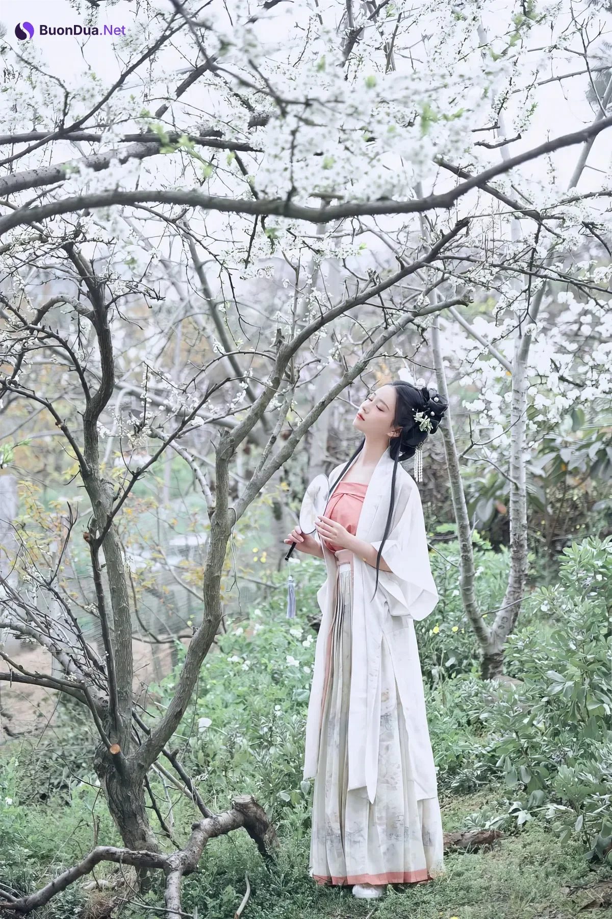 年年Nnian, 写真集 – 三月花 - รูปภาพ 2