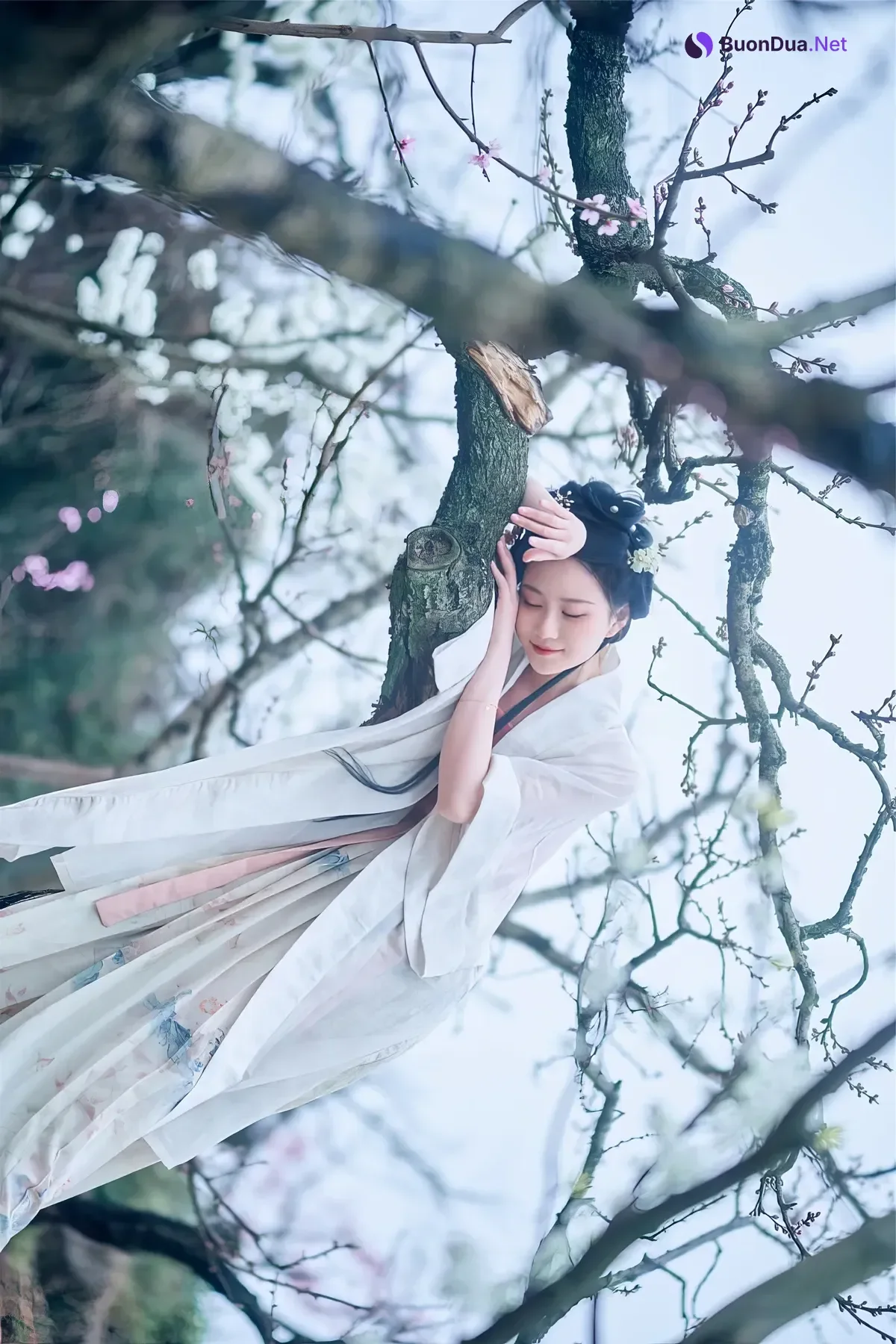 年年Nnian, 写真集 – 三月花 - รูปภาพ 6