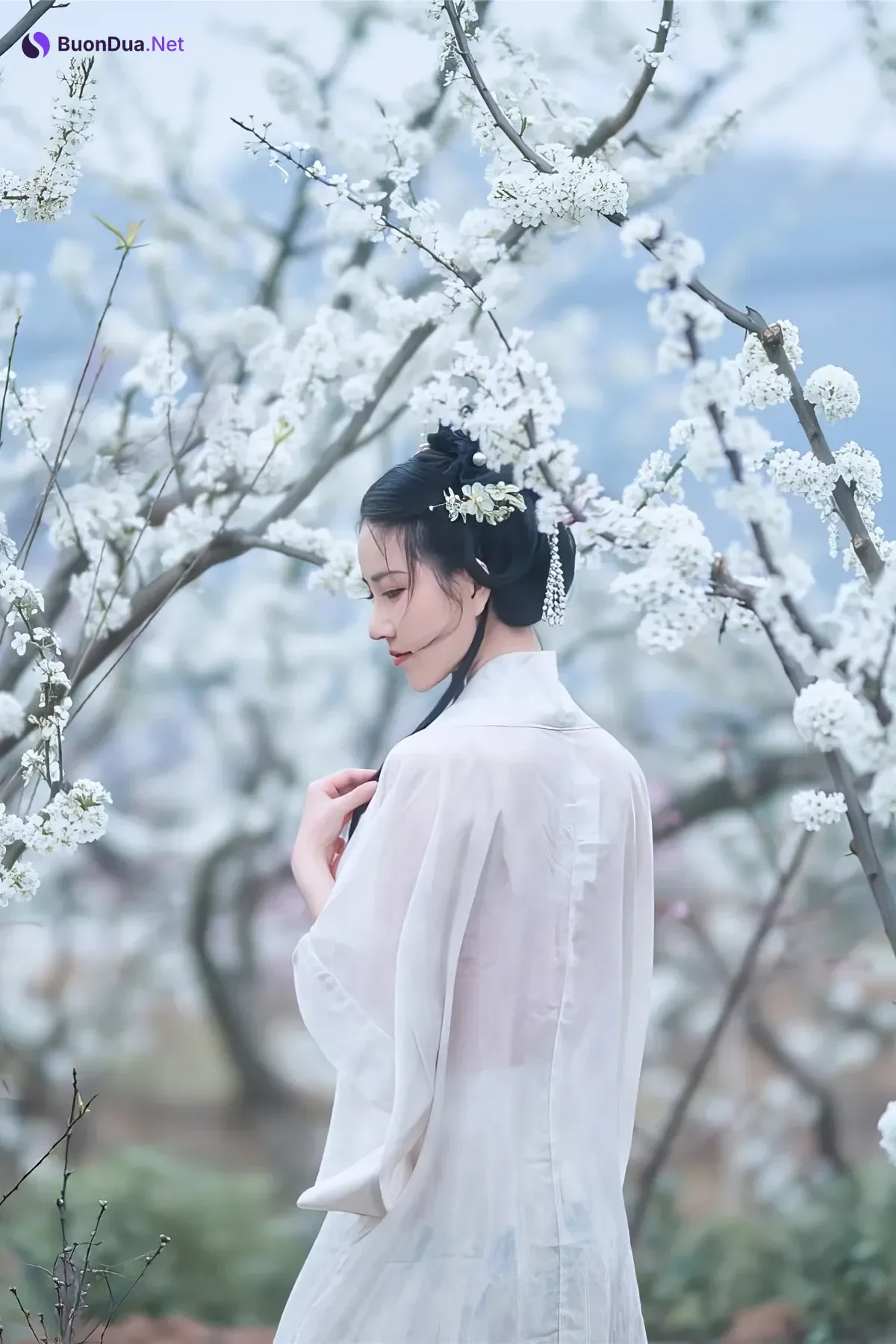 年年Nnian, 写真集 – 三月花 - รูปภาพ 7
