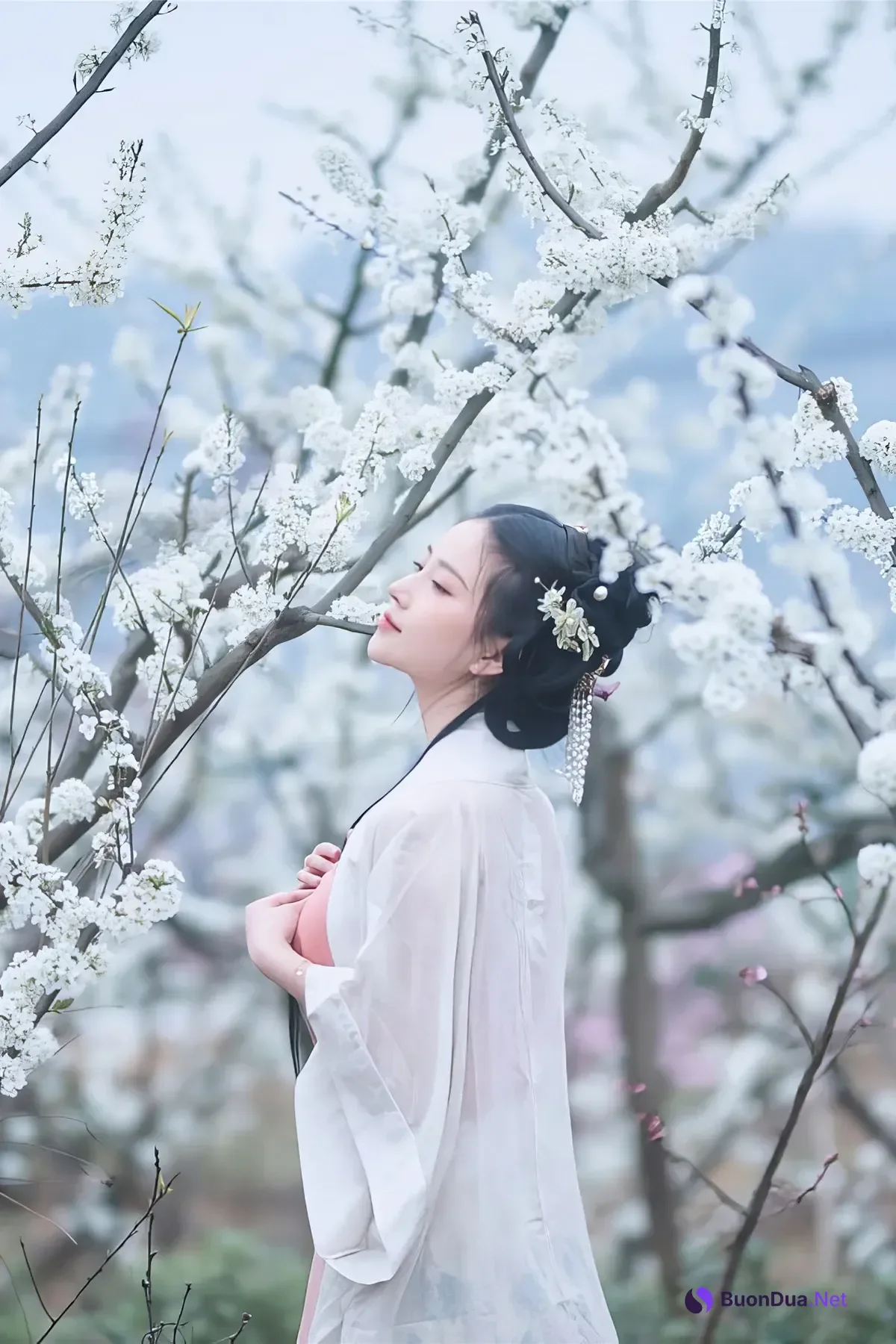 年年Nnian, 写真集 – 三月花 - รูปภาพ 9