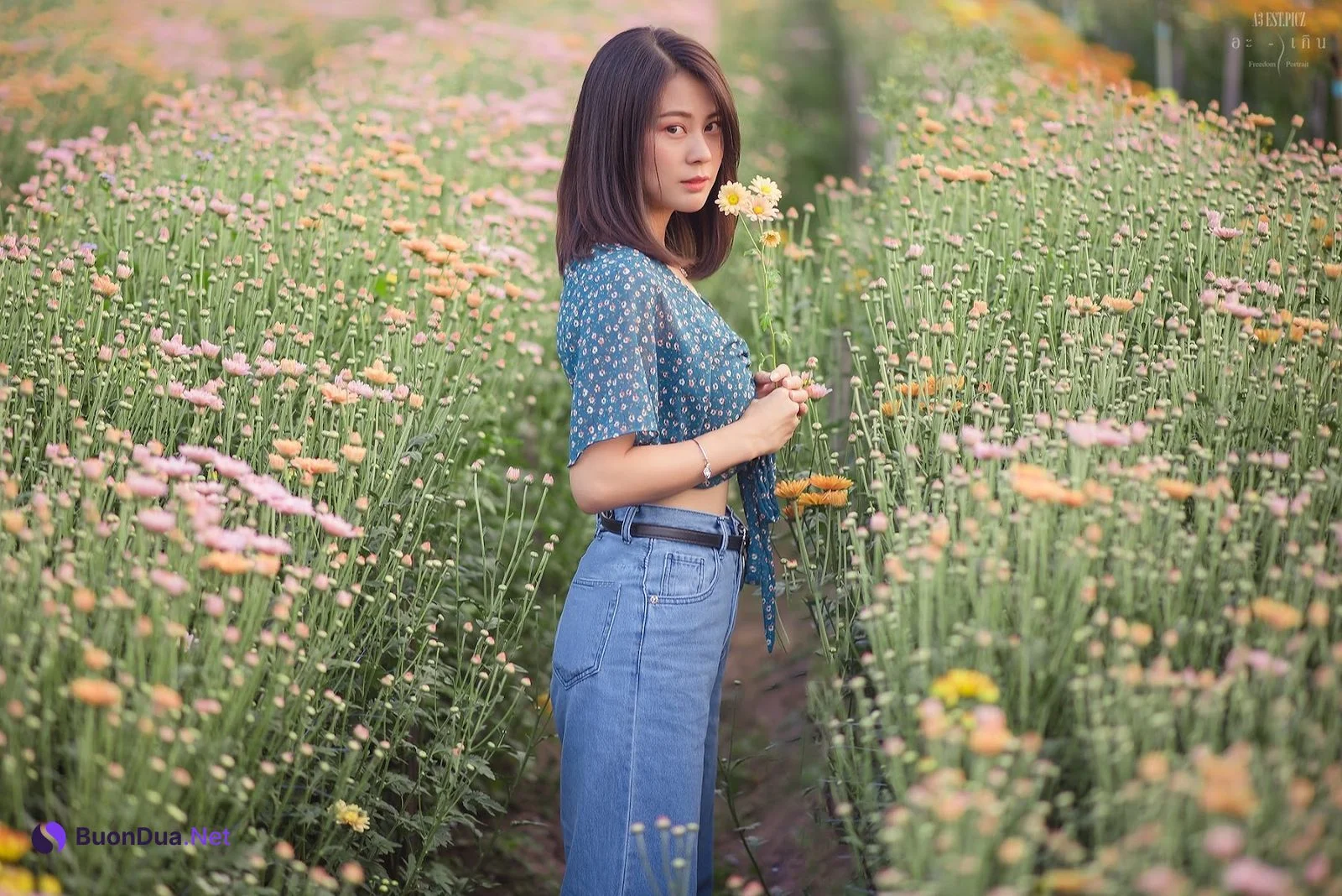อะ – เกิน P10 - 照片 14