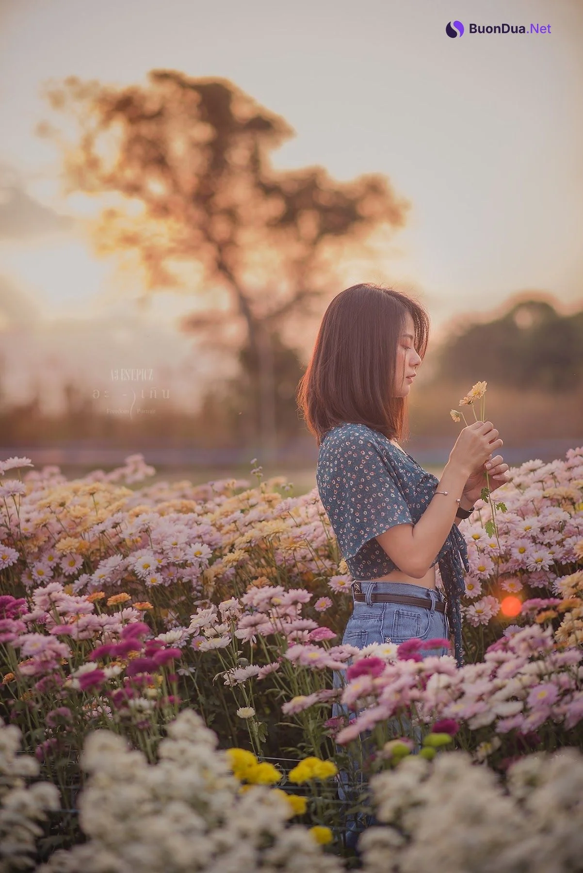 อะ – เกิน P10 - 照片 15