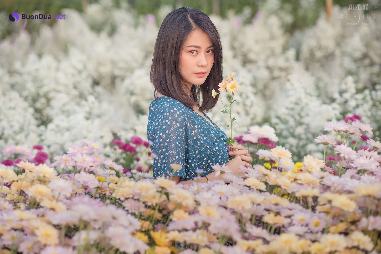 อะ – เกิน P10 - 照片 16