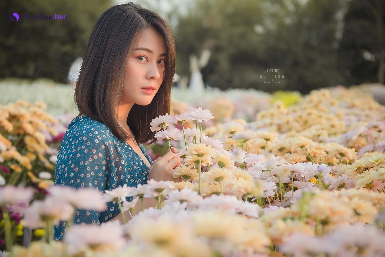 อะ – เกิน P10 - 照片 20