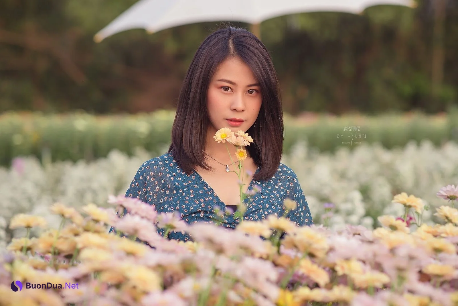อะ – เกิน P10 - 照片 9
