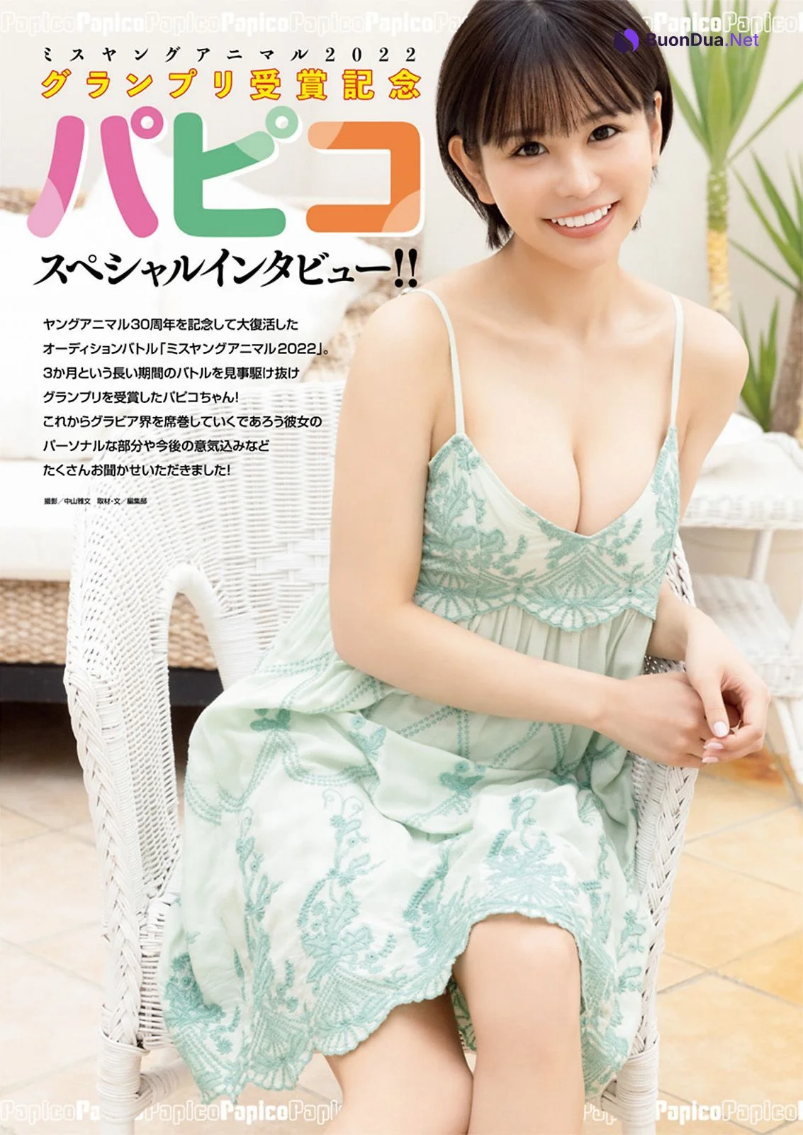 PAPICO パピコ, Young Animal 2022 No.20 (ヤングアニマル 2022年20号) - Photo 10