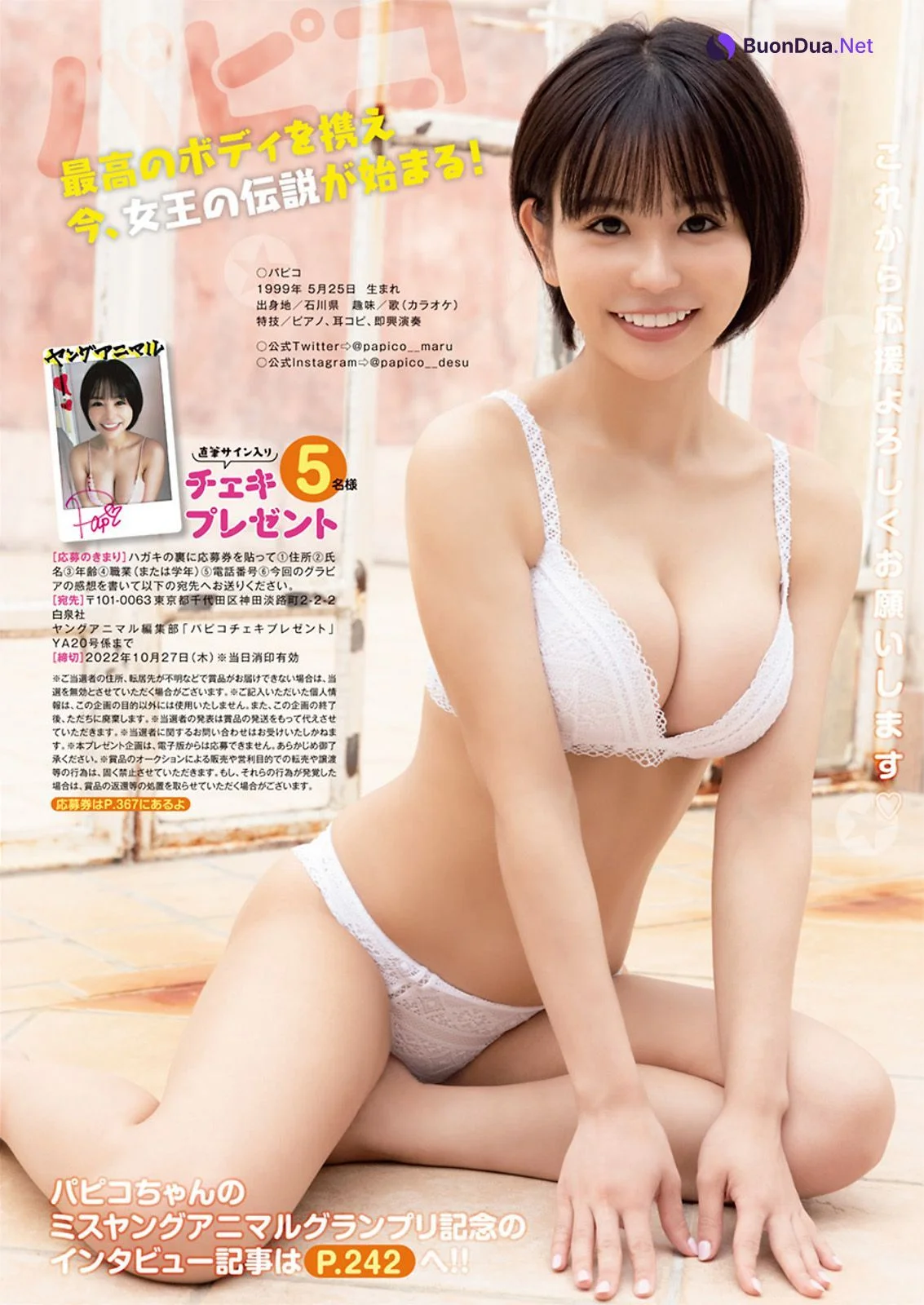 PAPICO パピコ, Young Animal 2022 No.20 (ヤングアニマル 2022年20号) - Photo 9