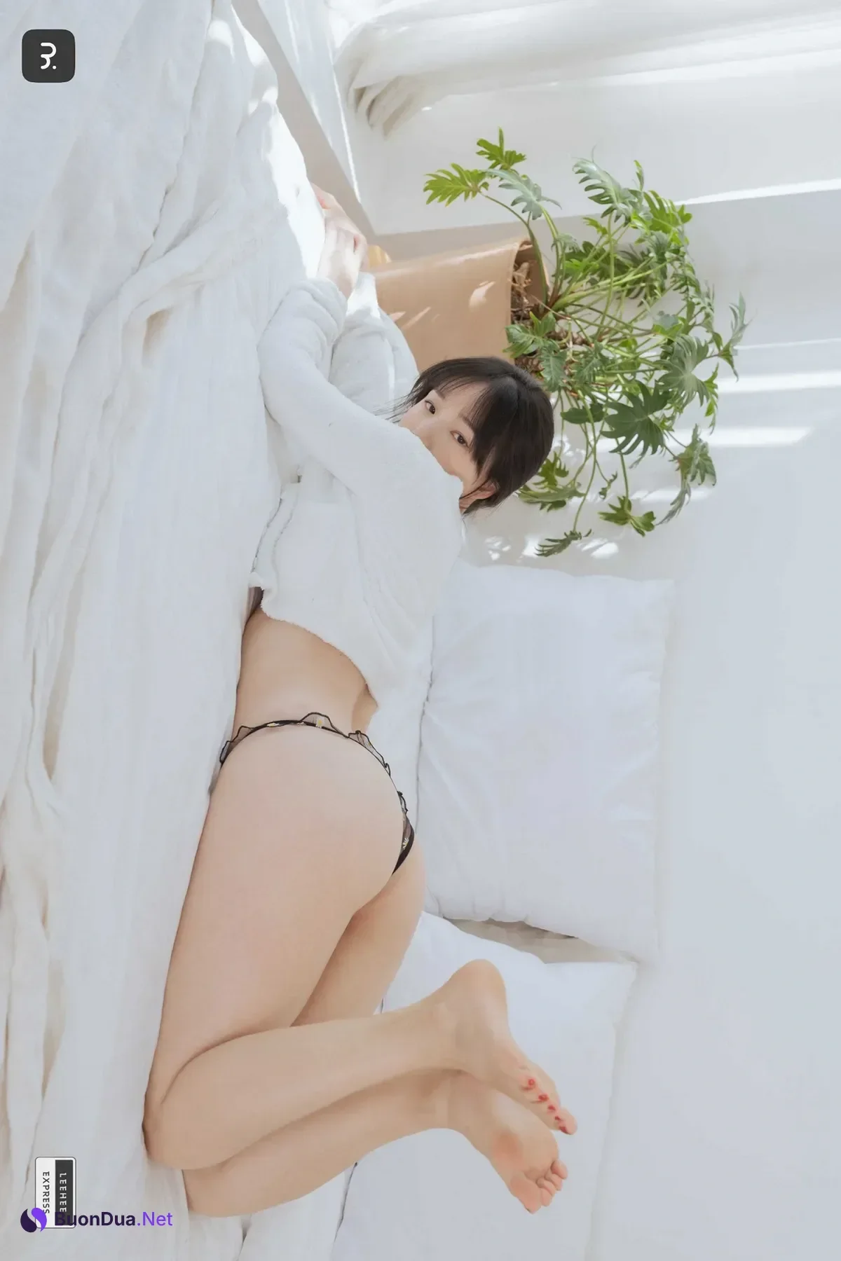 PIA 피아 Sir.Bean, LEEHEE EXPRESS LEHC-216A Set.01 - Photo 12