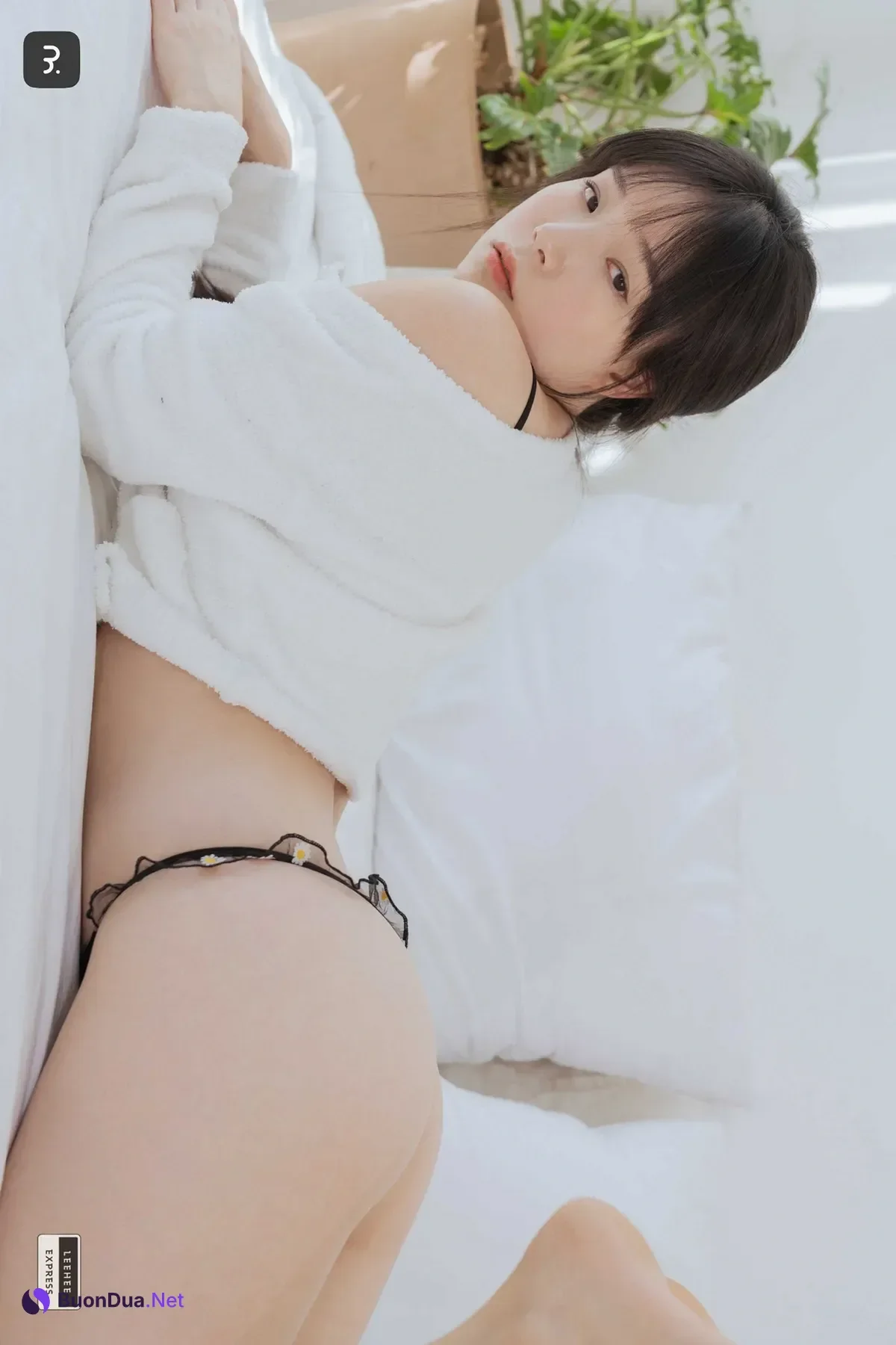 PIA 피아 Sir.Bean, LEEHEE EXPRESS LEHC-216A Set.01 - Photo 17