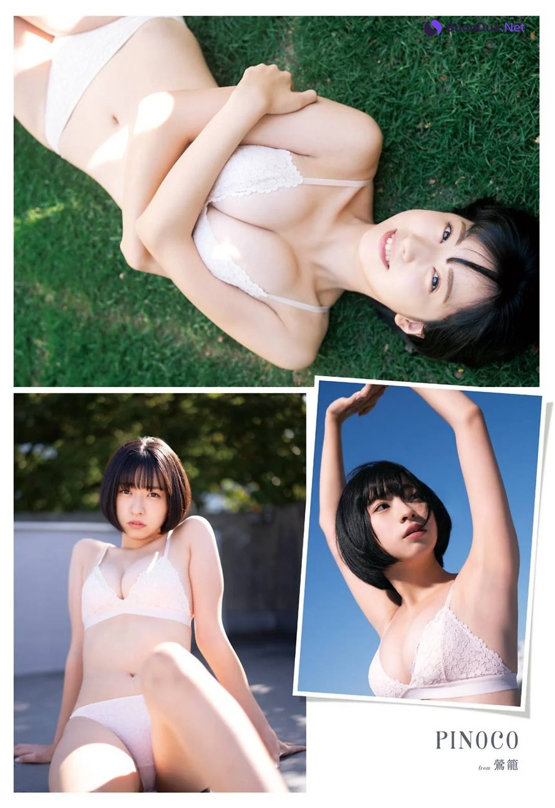 PINOCO ぴのこ, Young Gangan 2021 No.02 (ヤングガンガン 2021年2号) - Photo 5