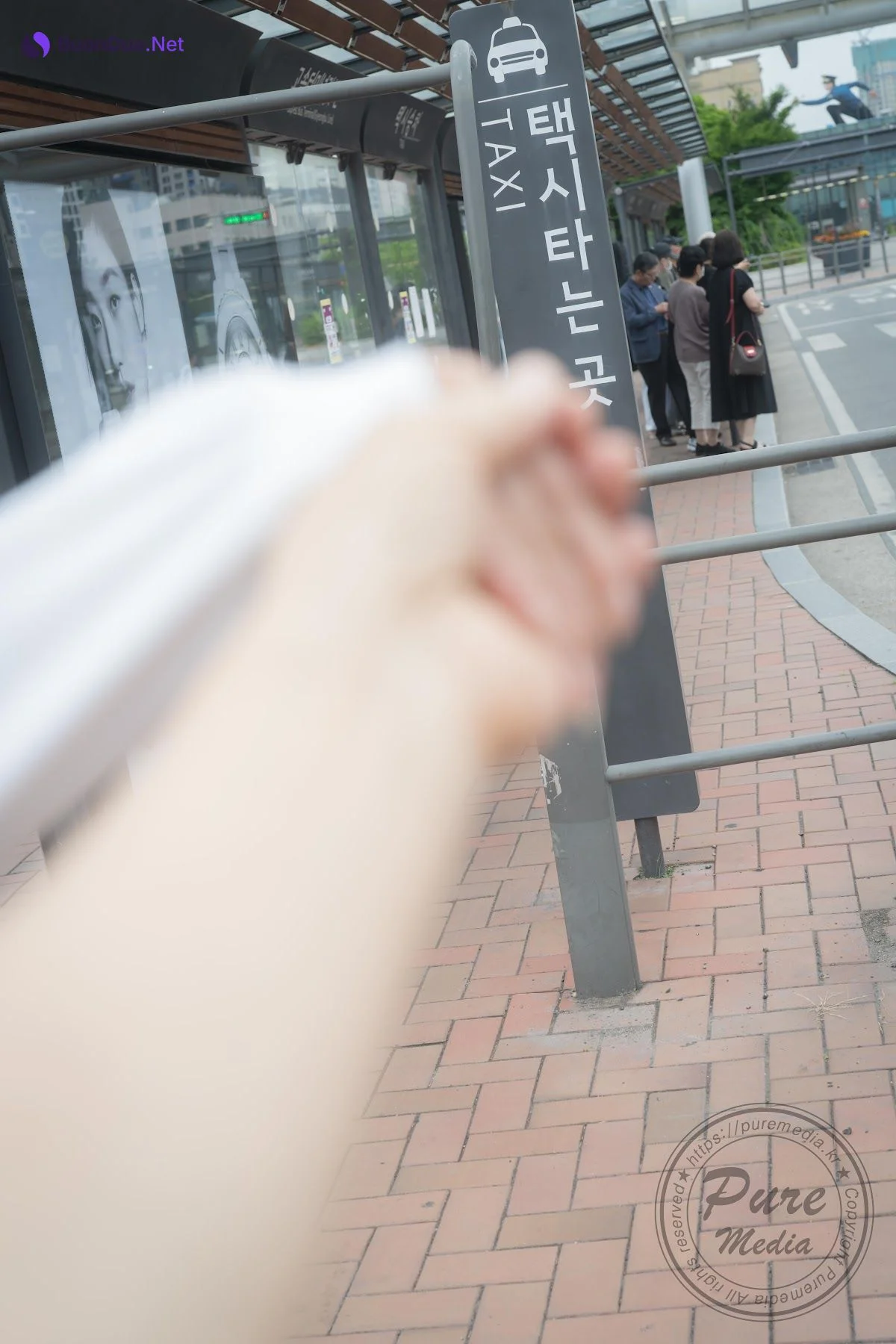 Pure Media Vol.245 Hina (히나) Pure gradoll - Photo 6