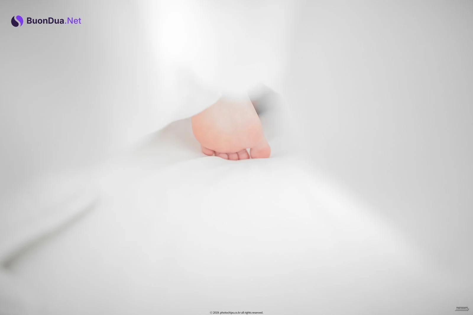 Queen Dami 퀸다미, [PhotoChips] Vol.064 - 사진 13
