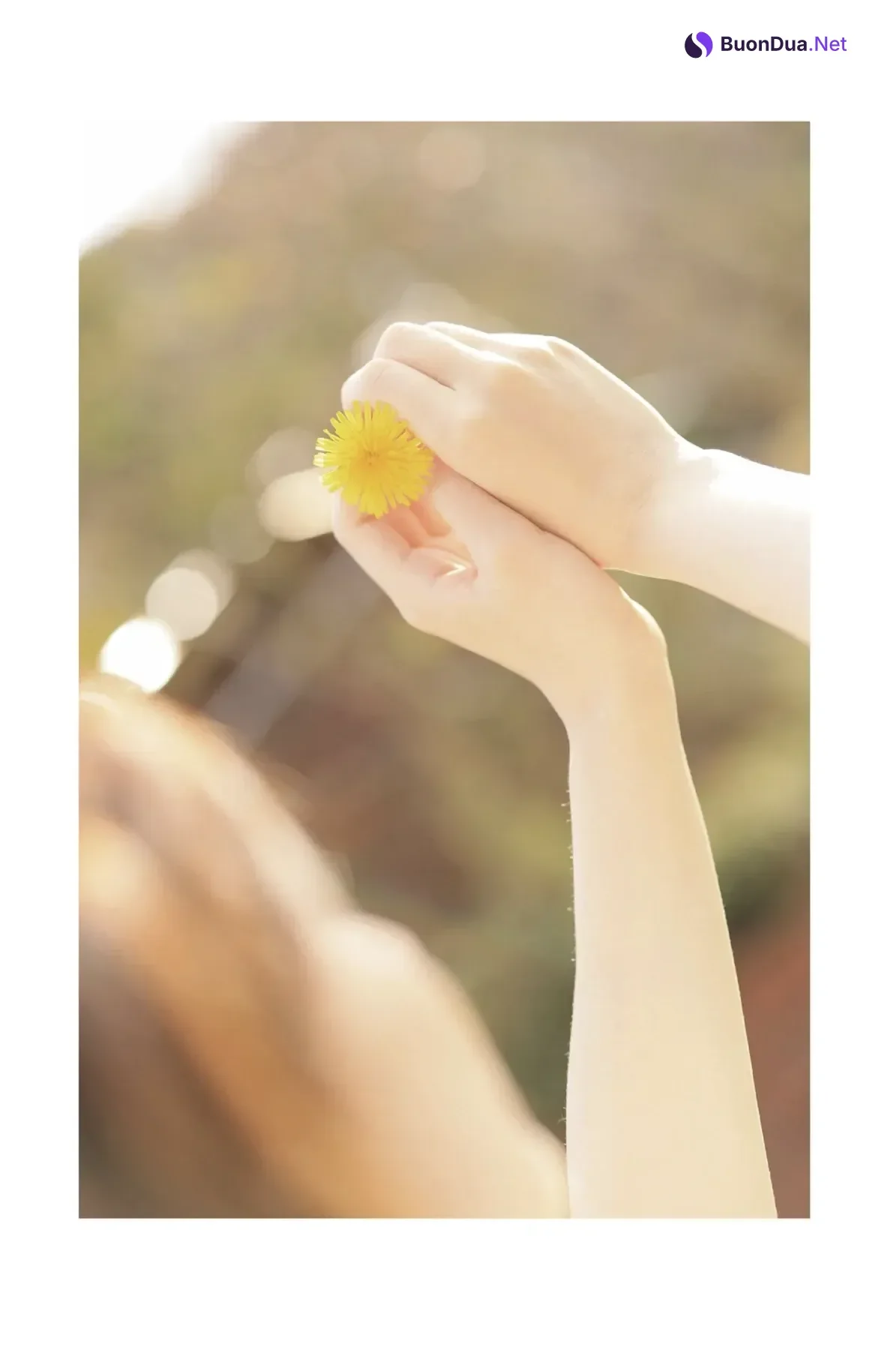 Ran Himeno 姫野らん, ヌード写真集 「綿毛が舞うように」 Set.02 - Photo 13