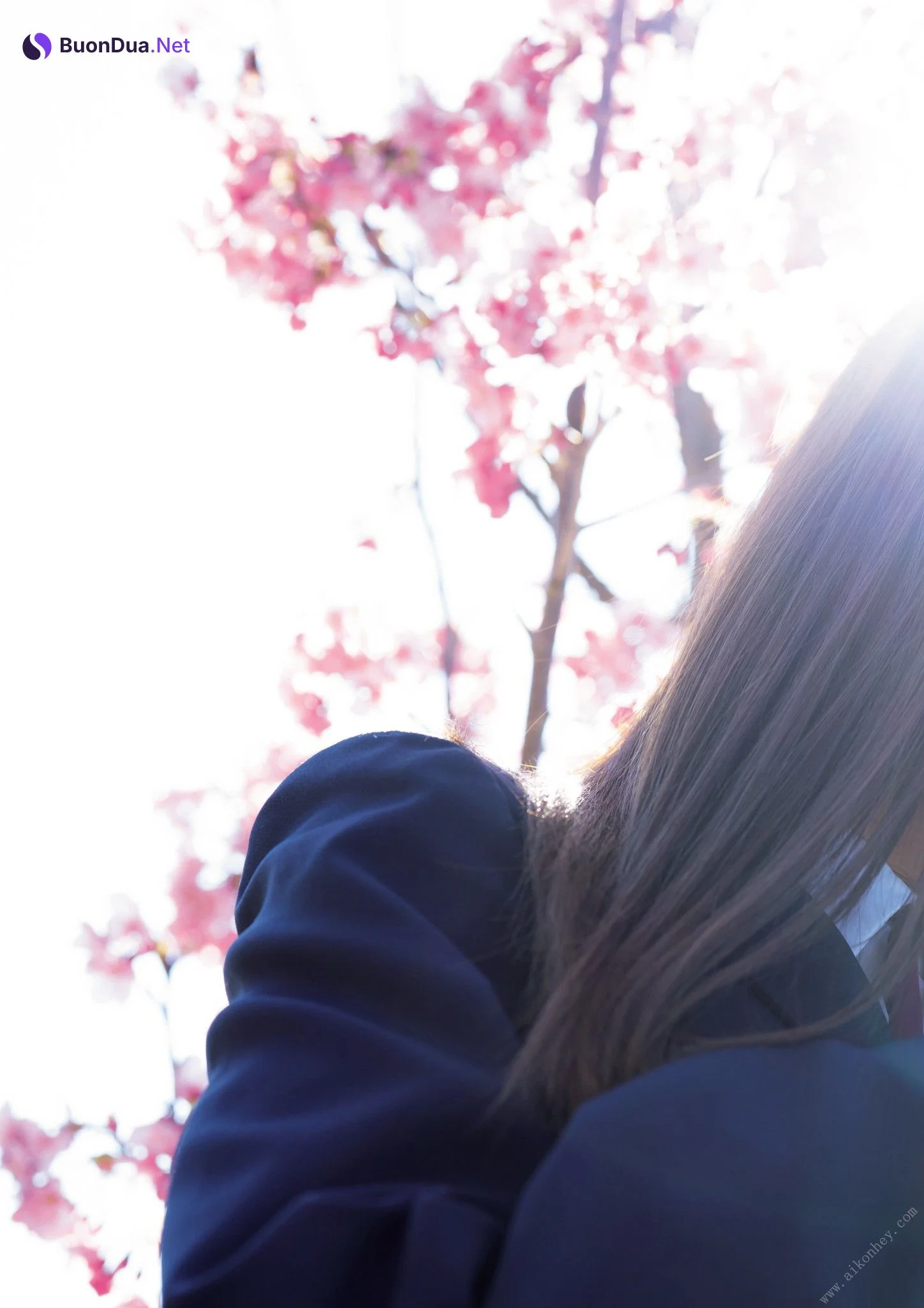 Rea Hanasaki 花咲れあ, 1st写真集 はなびら Set.01 - Photo 12