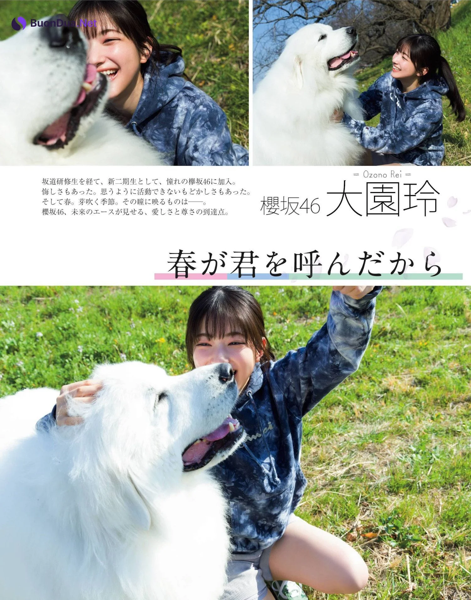 Rei Ozono 大園玲, Platinum Flash 2022 Vol.18 - Photo 2