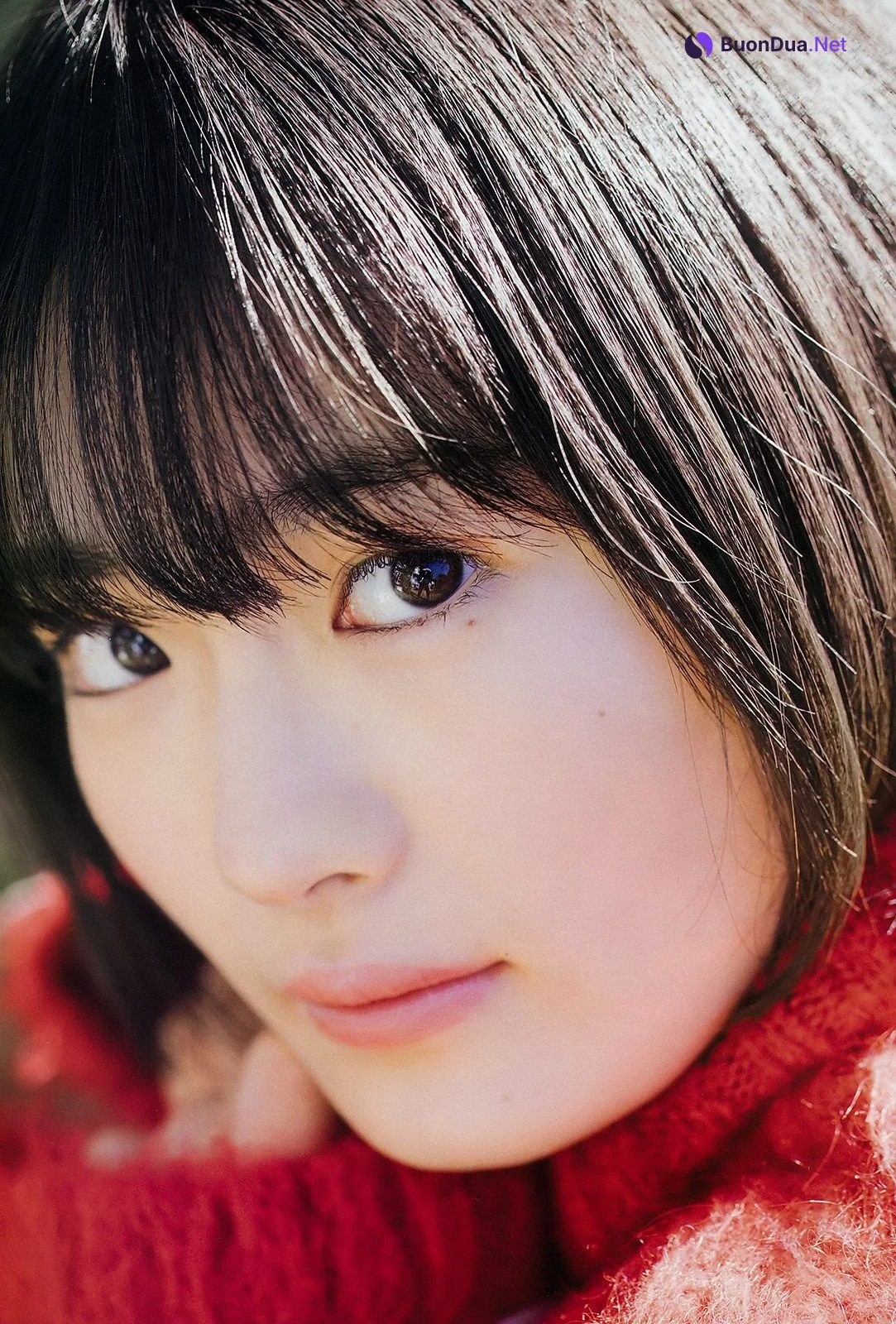 Rei Seimiya 清宮レイ, Big Comic Spirits 2019 No.09 (ビッグコミックスピリッツ 2019年9号) - Photo 6