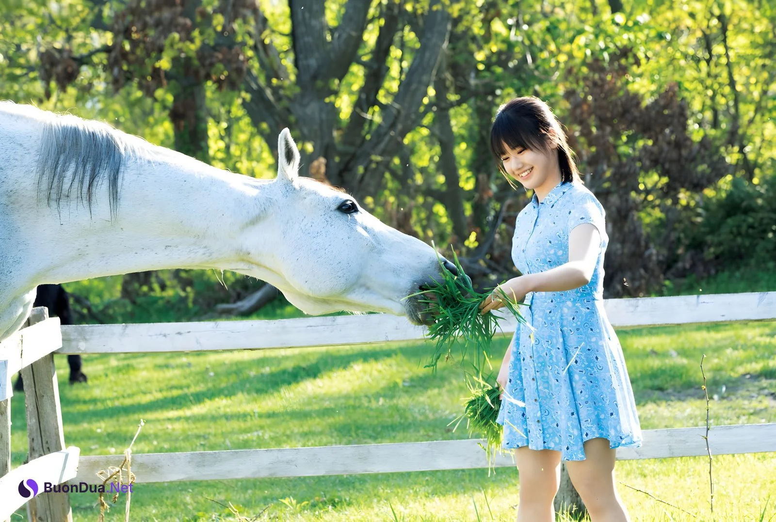 Reina Yokoyama 横山玲奈, 写真集 [REINA is eighteen ～N to S～] Set.01 - 写真 17