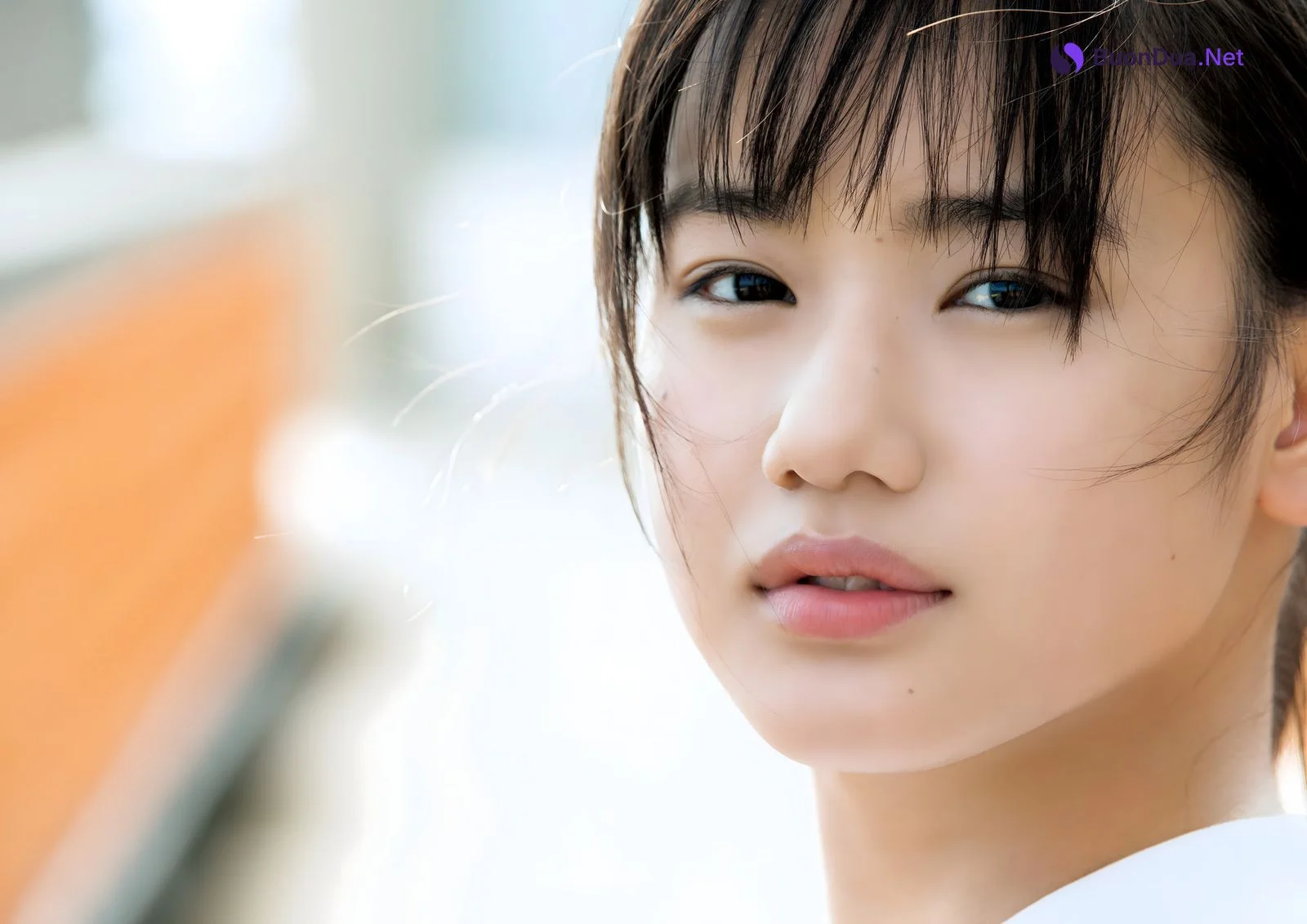 Reina Yokoyama 横山玲奈, 写真集 [REINA is eighteen ～N to S～] Set.03 - 사진 5