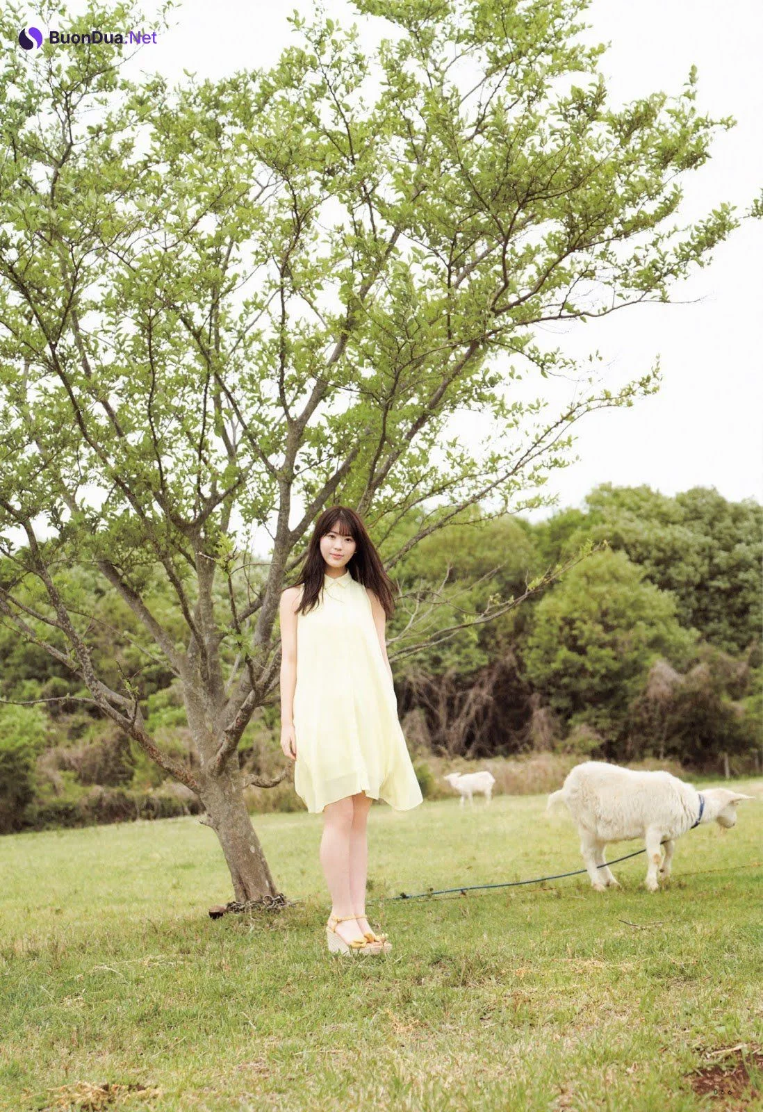 Renka Iwamoto 岩本蓮加, UTB 2019.07 vol.279 (アップトゥボーイ 2019年7月号) - รูปภาพ 9