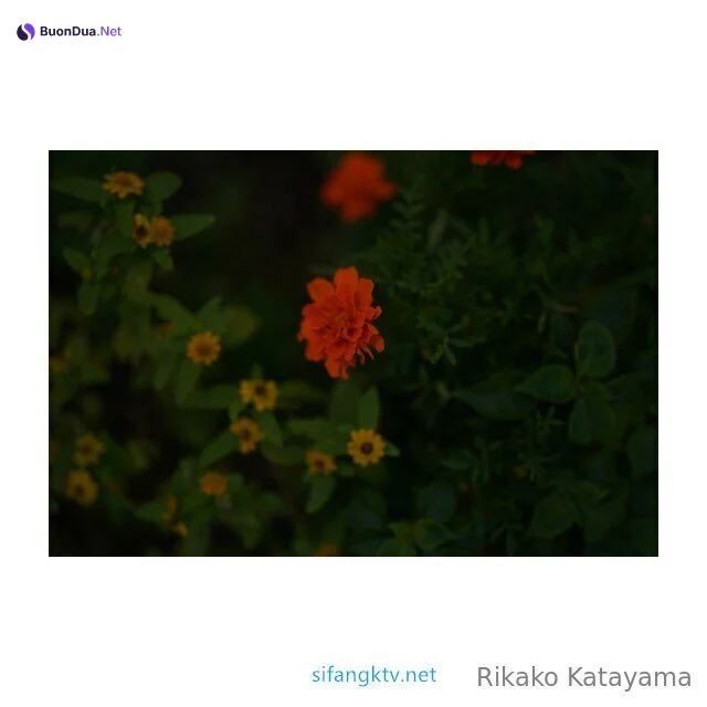 Rikako Katayama – OnlyFans 蜂腰大奶马甲线 甜心少妇性爱福利 优雅的气质甜美笑容让人沉醉 - 사진 37